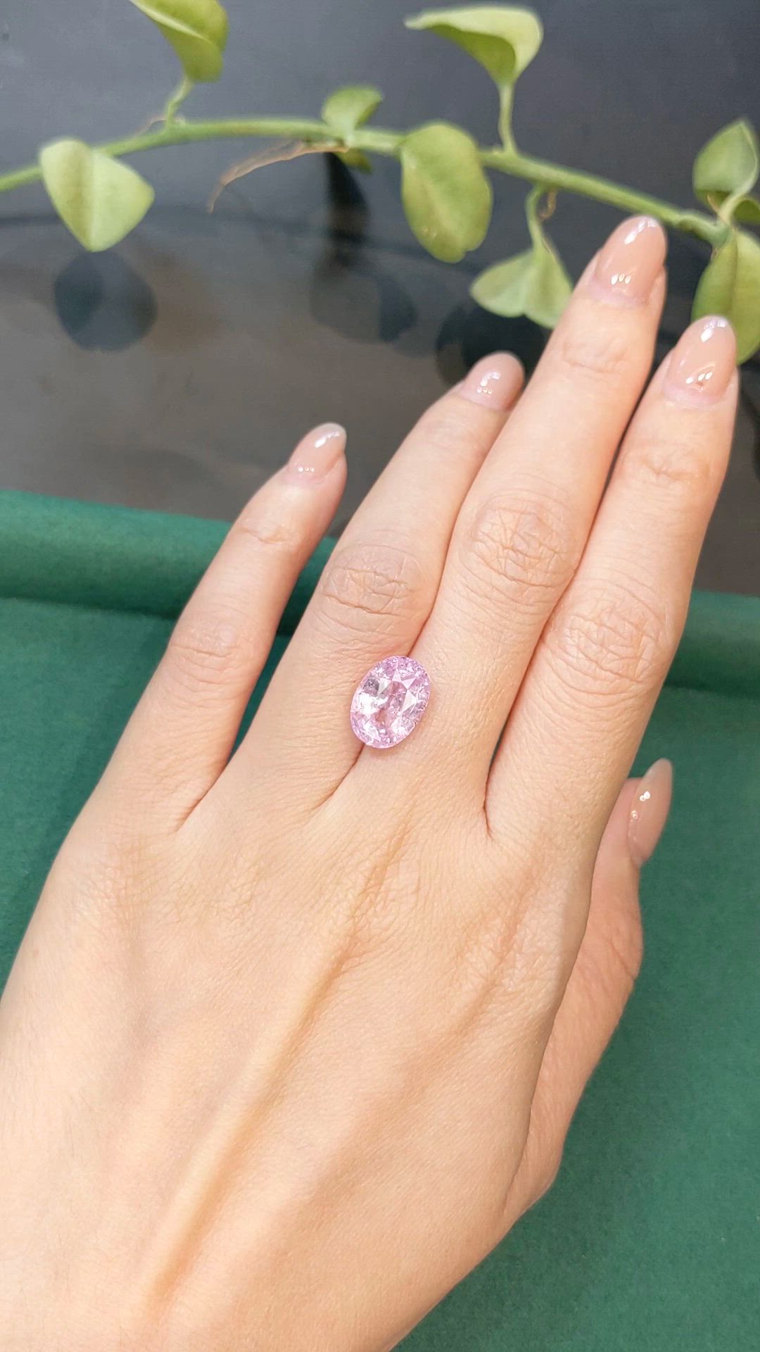 7.06 Ct. Pink Sapphire from Ceylon (Sri Lanka) Size Video