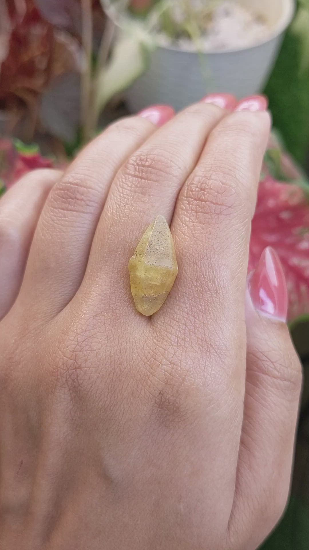 14.81 Ct. Yellow Sapphire from Ceylon (Sri Lanka) Size Video