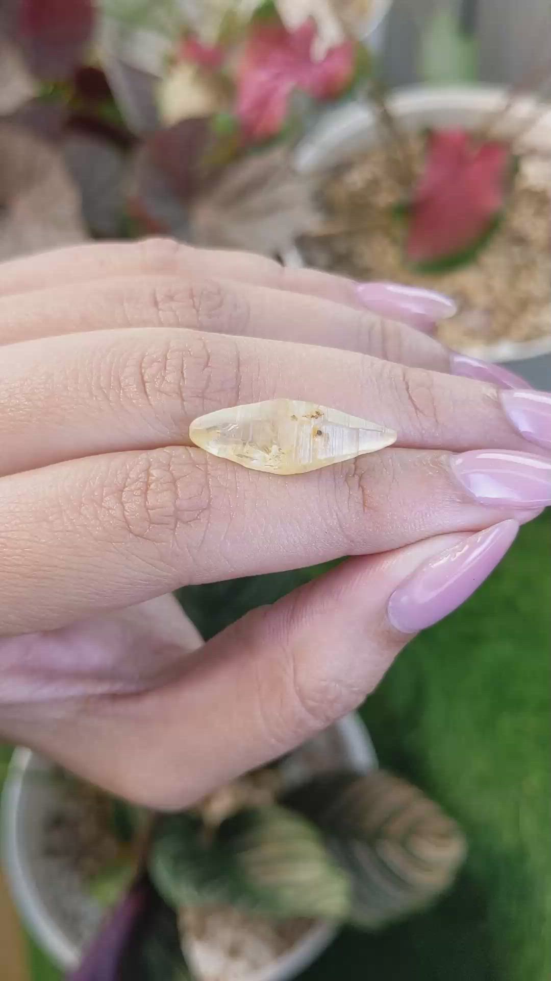 11.52 Ct. Yellow Sapphire Crystal from Ceylon (Sri Lanka) Size Video