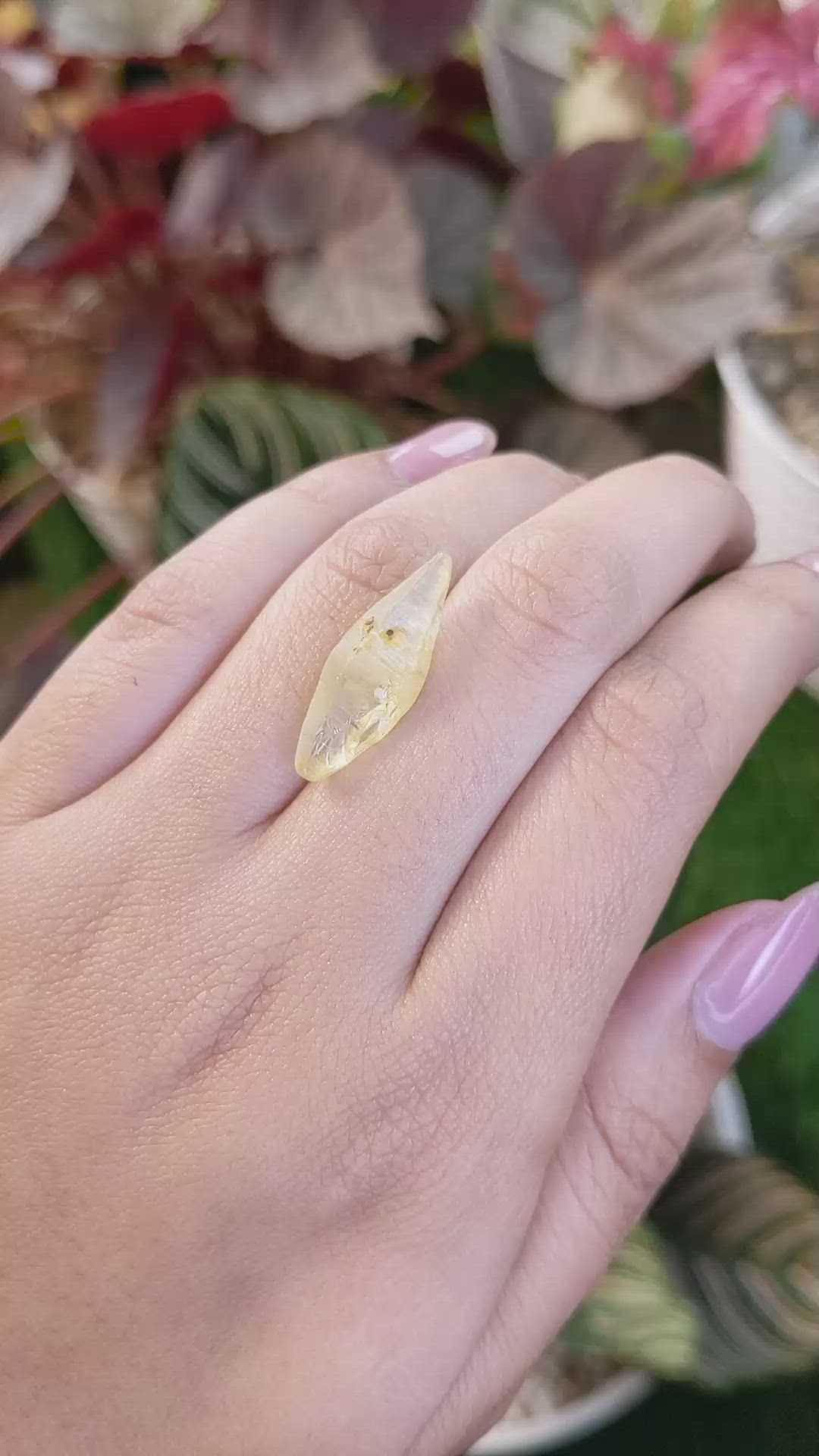 11.52 Ct. Yellow Sapphire Crystal from Ceylon (Sri Lanka) Size Video