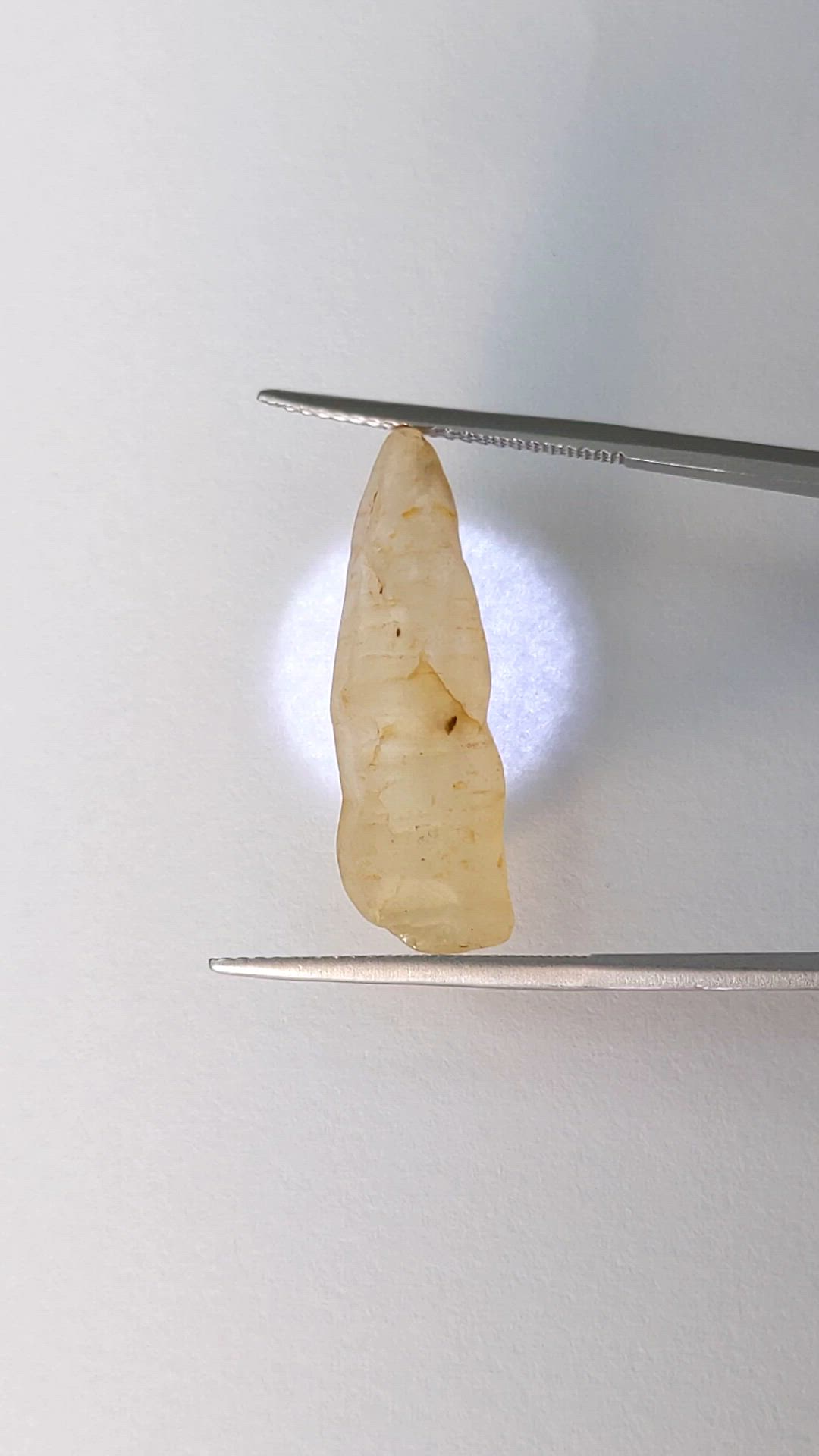 17.63 Ct. Yellow Sapphire from Ceylon (Sri Lanka) Size Video