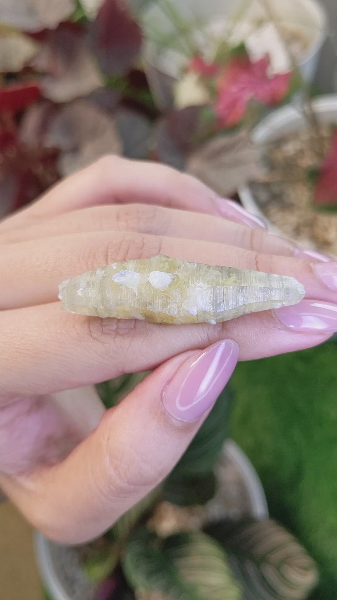 66.10 Ct. Greenish Yellow Sapphire Crystal from Ceylon (Sri Lanka) Size Video