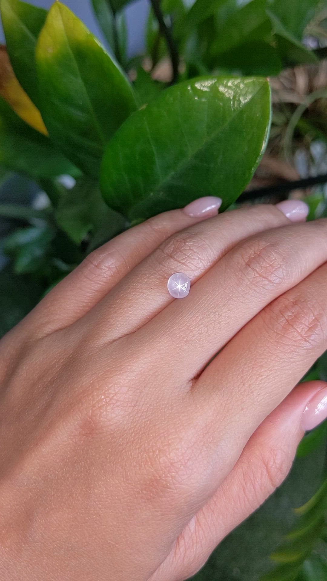 1.68 Ct. White Star Sapphire from Ceylon (Sri Lanka) Size Video