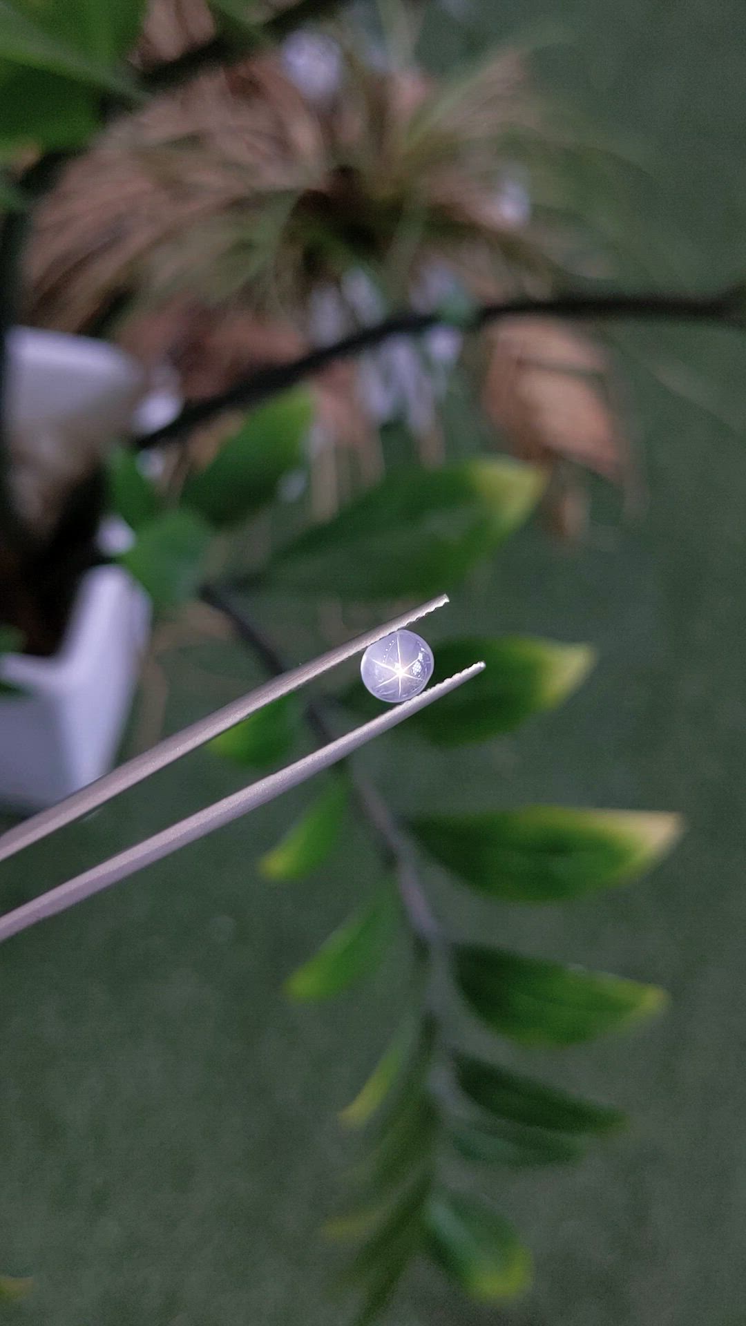 1.68 Ct. White Star Sapphire from Ceylon (Sri Lanka) Size Video