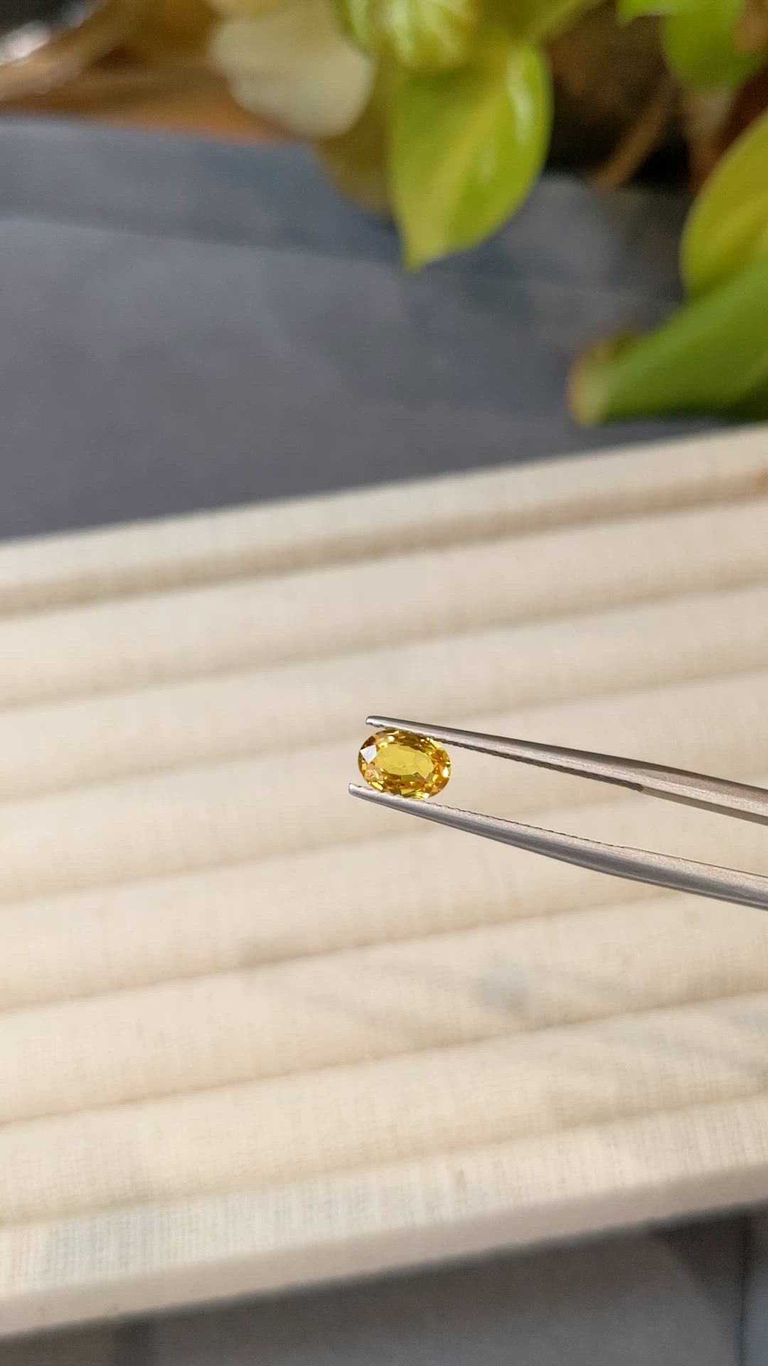0.85 Ct. Yellow Sapphire from Thailand Size Video