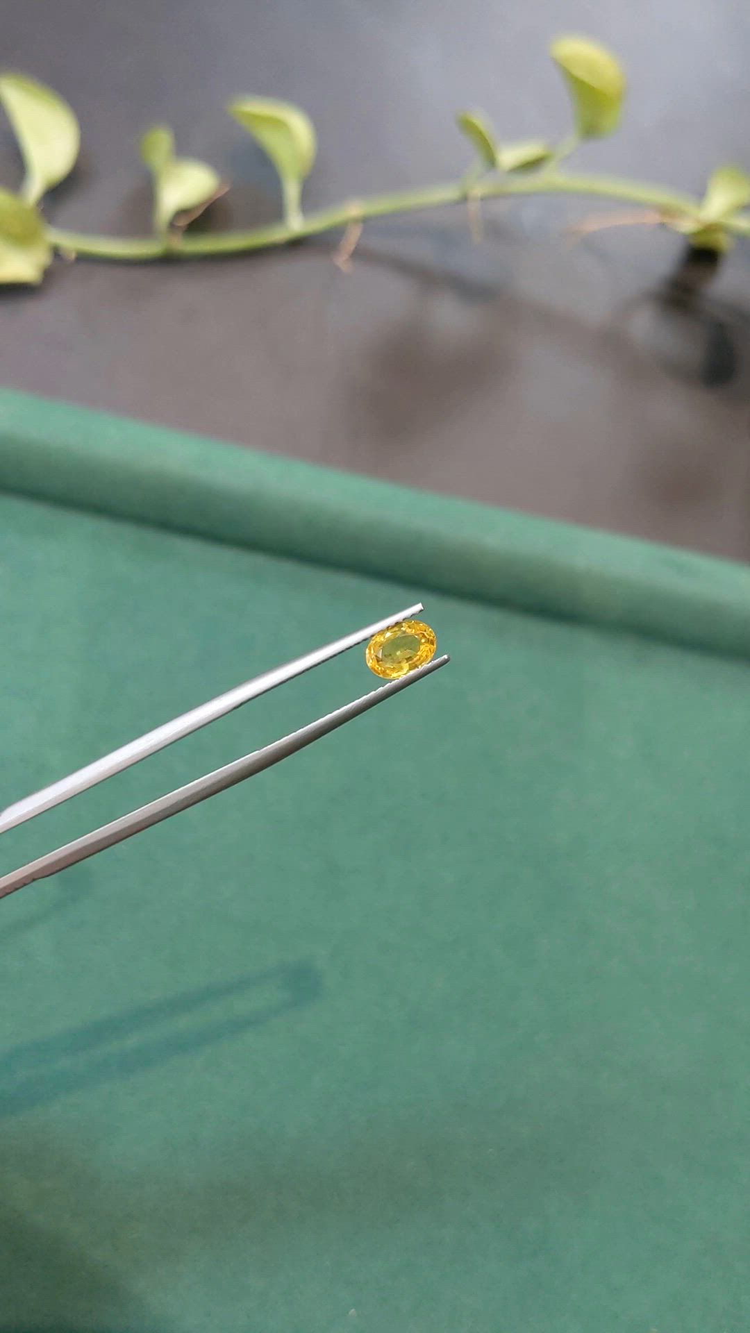 0.86 Ct. Yellow Sapphire from Thailand Size Video