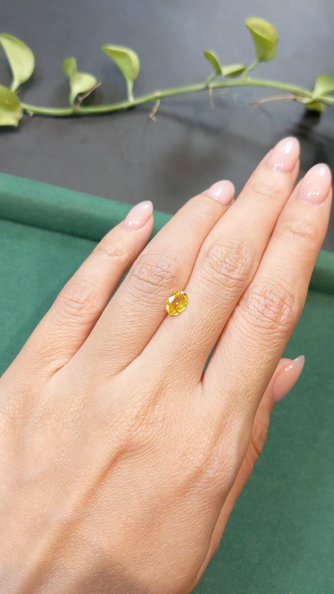 0.86 Ct. Yellow Sapphire from Thailand Size Video