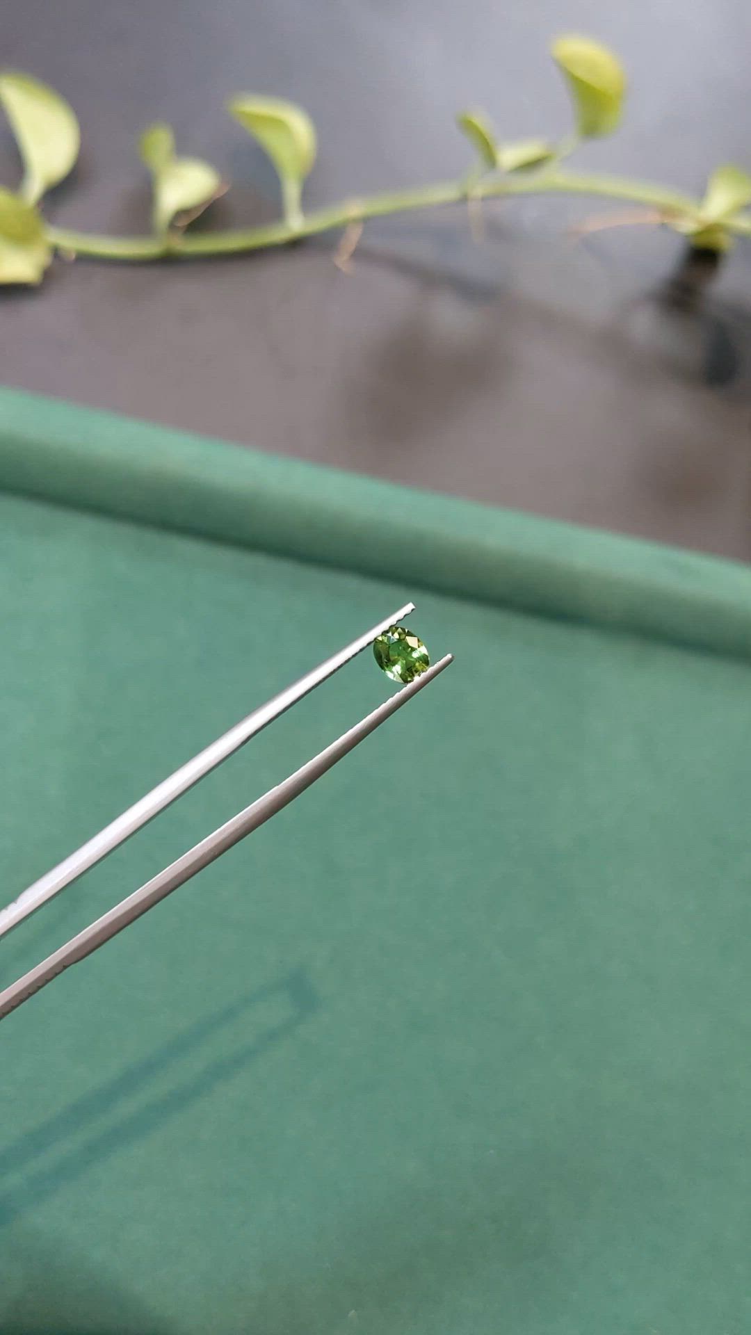 0.61 Ct. Yellowish Green Sapphire from Thailand Size Video
