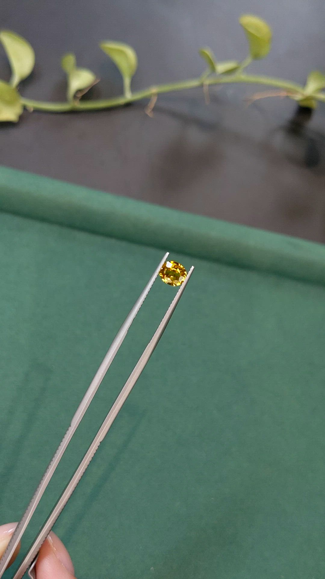 0.85 Ct. Yellow Sapphire from Thailand Size Video