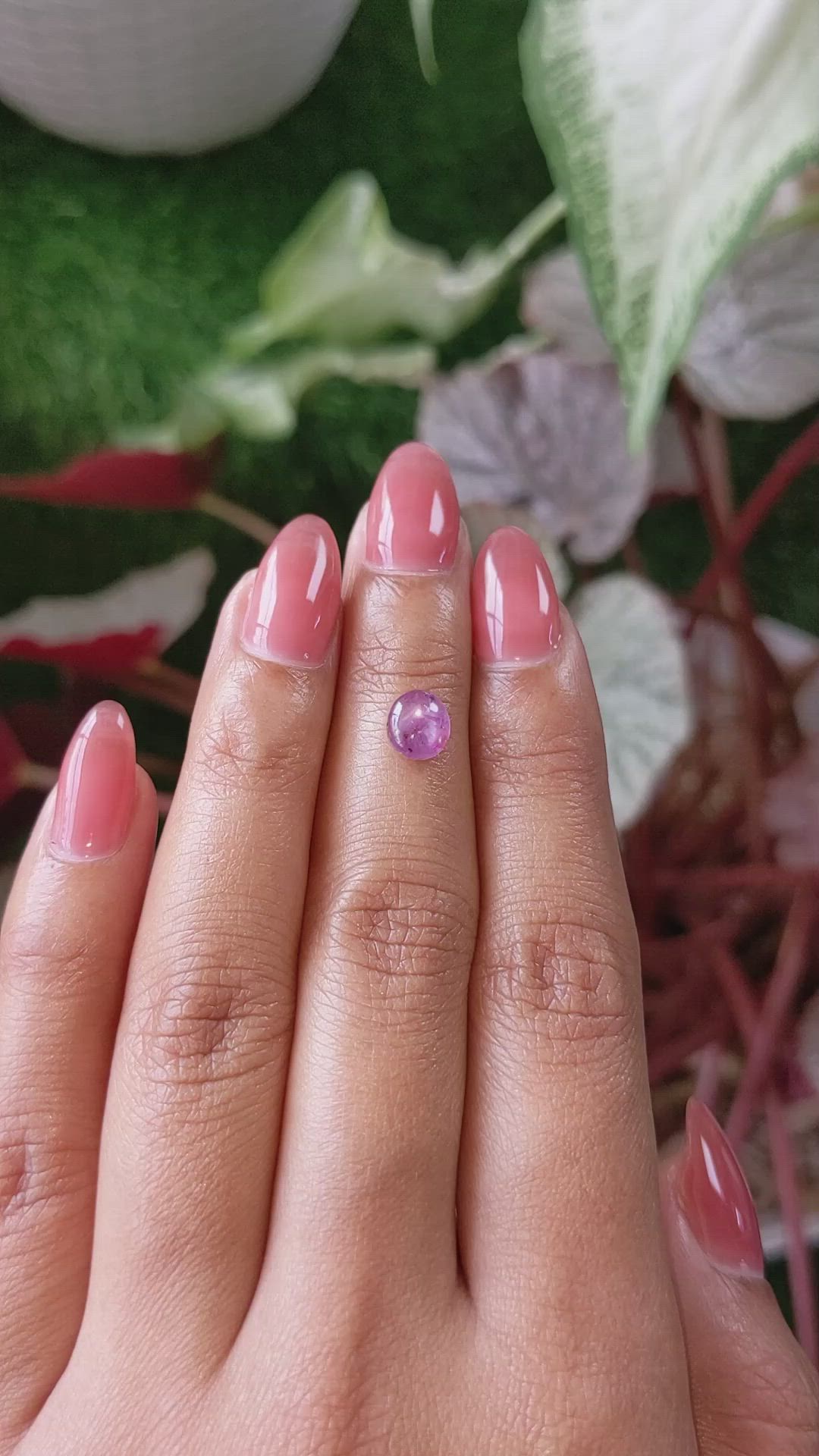 1.57 Ct. Pinkish Purple Star Sapphire from Ceylon (Sri Lanka) Size Video