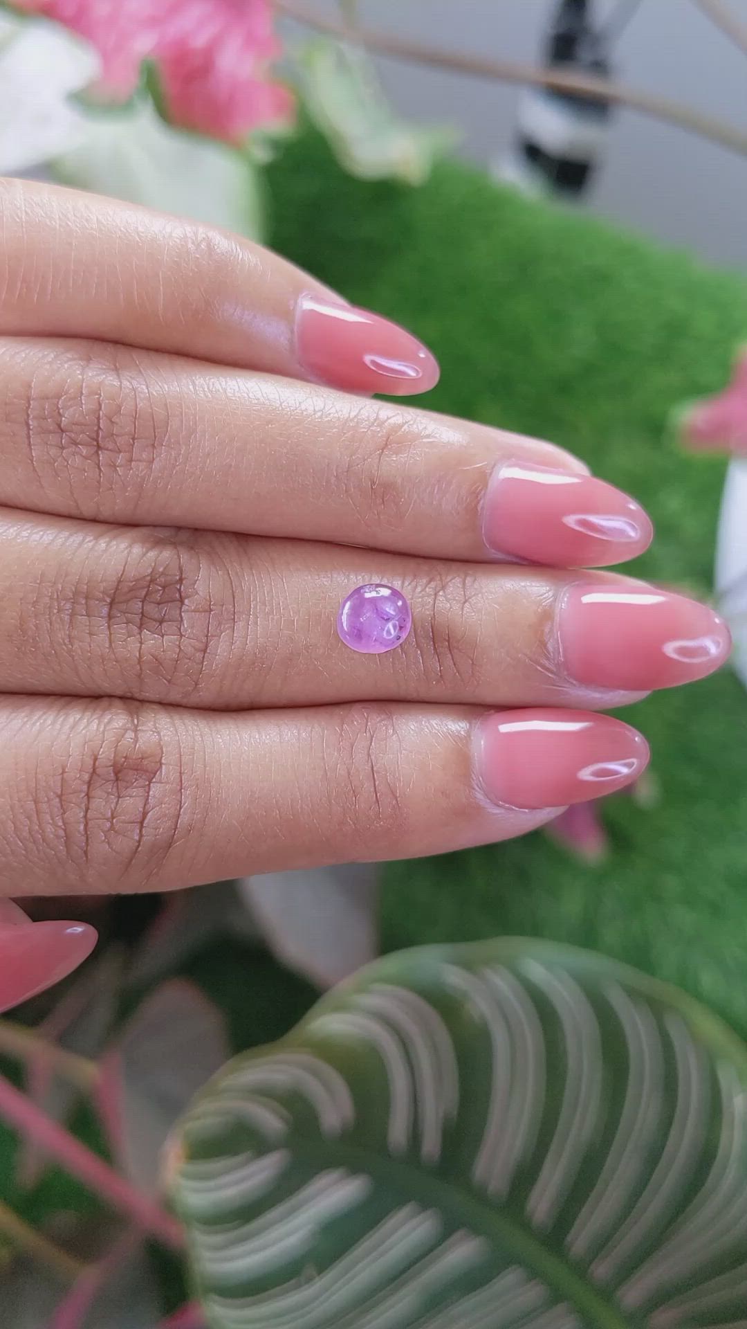 1.57 Ct. Pinkish Purple Star Sapphire from Ceylon (Sri Lanka) Size Video