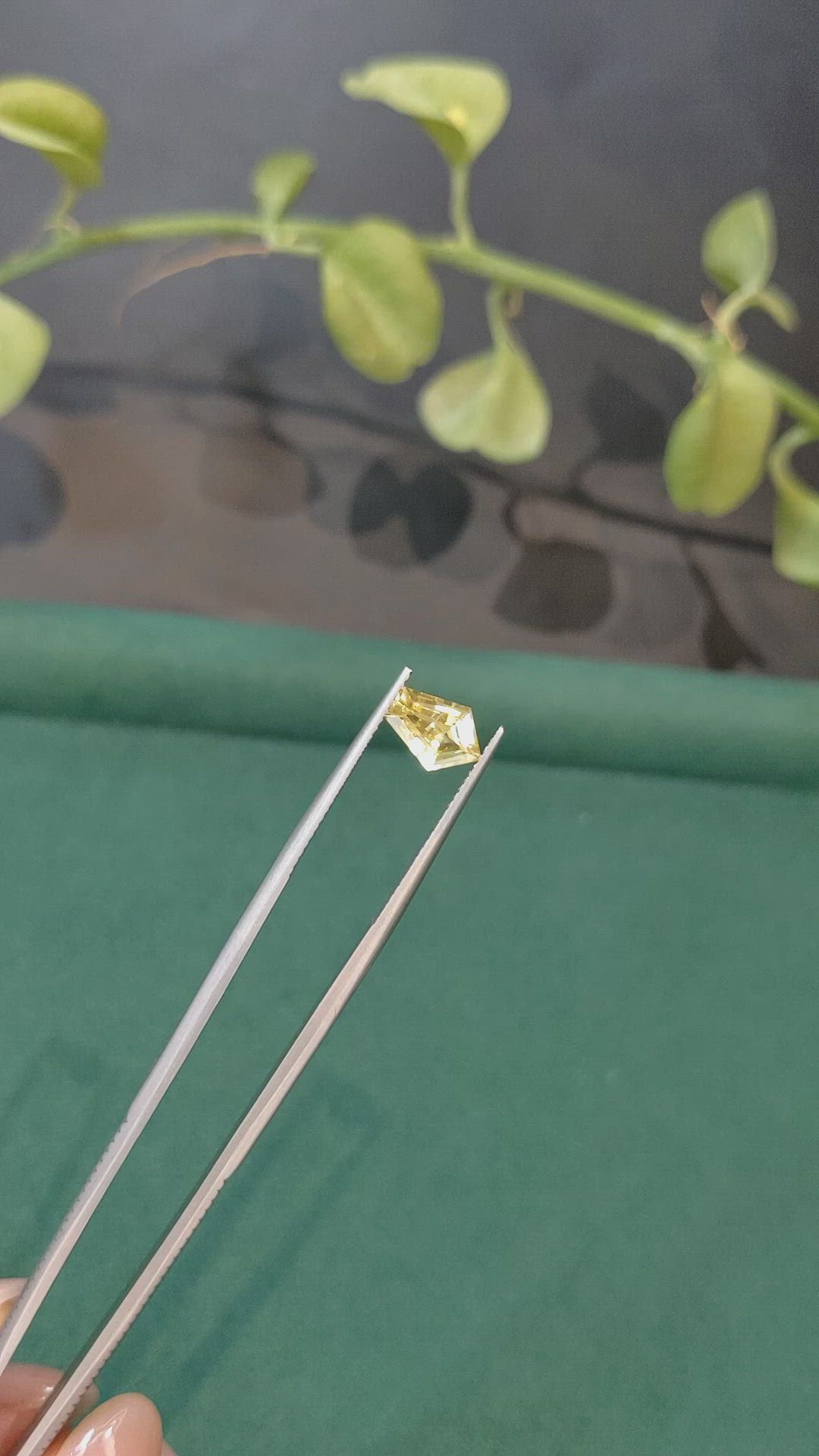 1.32 Ct. Yellow Sapphire from Ceylon (Sri Lanka) Size Video