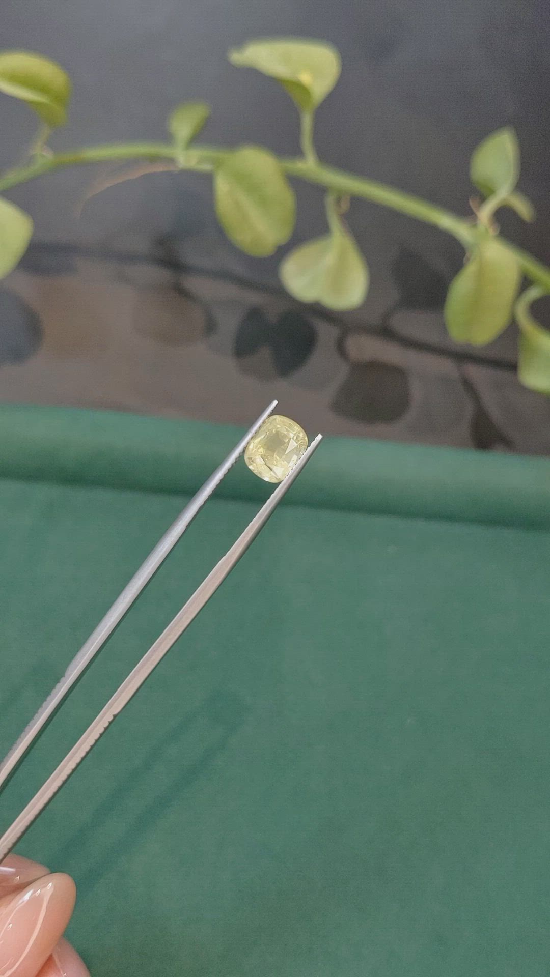 2.44 Ct. Yellow Sapphire from Ceylon (Sri Lanka) Size Video