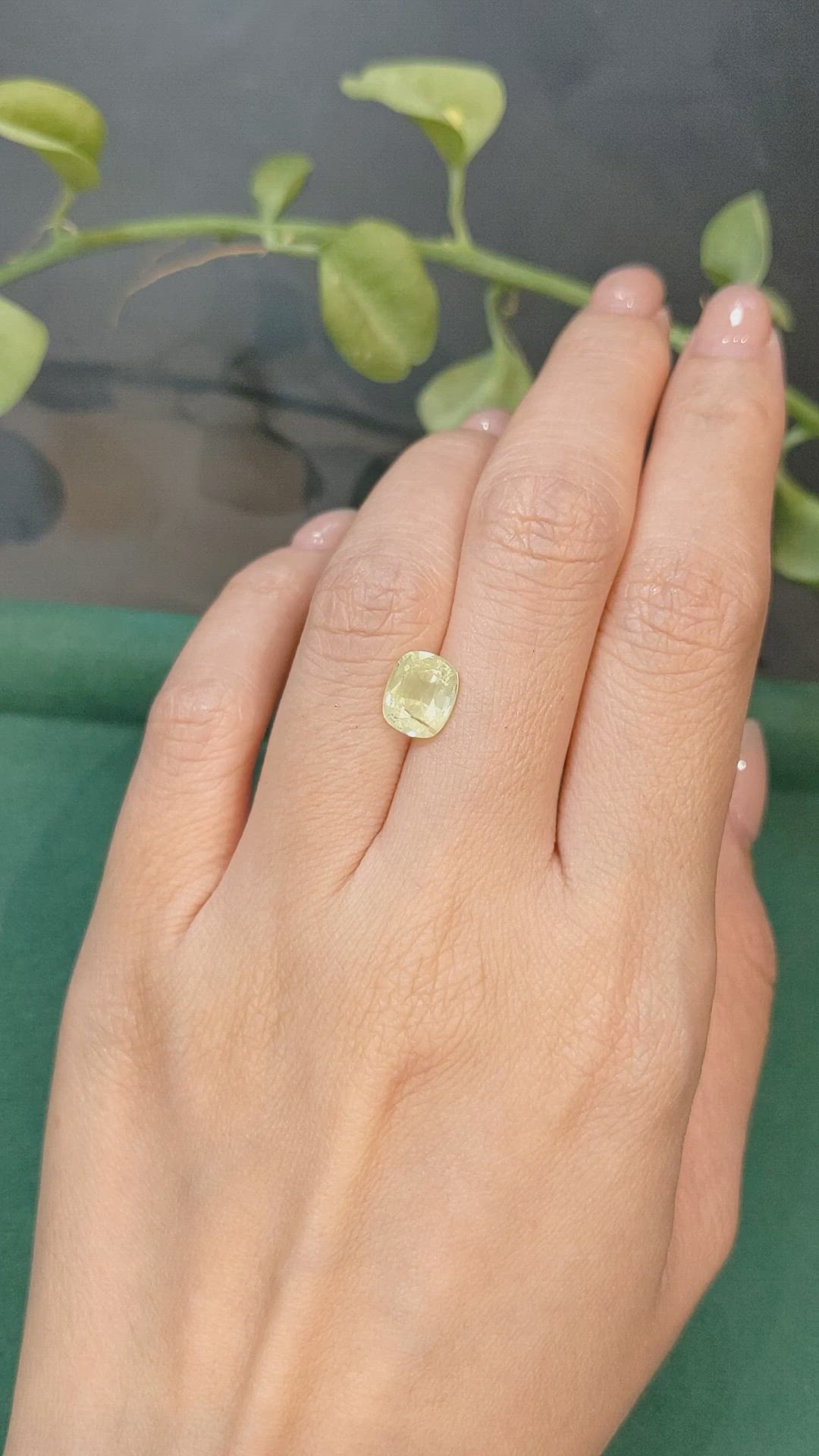 2.44 Ct. Yellow Sapphire from Ceylon (Sri Lanka) Size Video