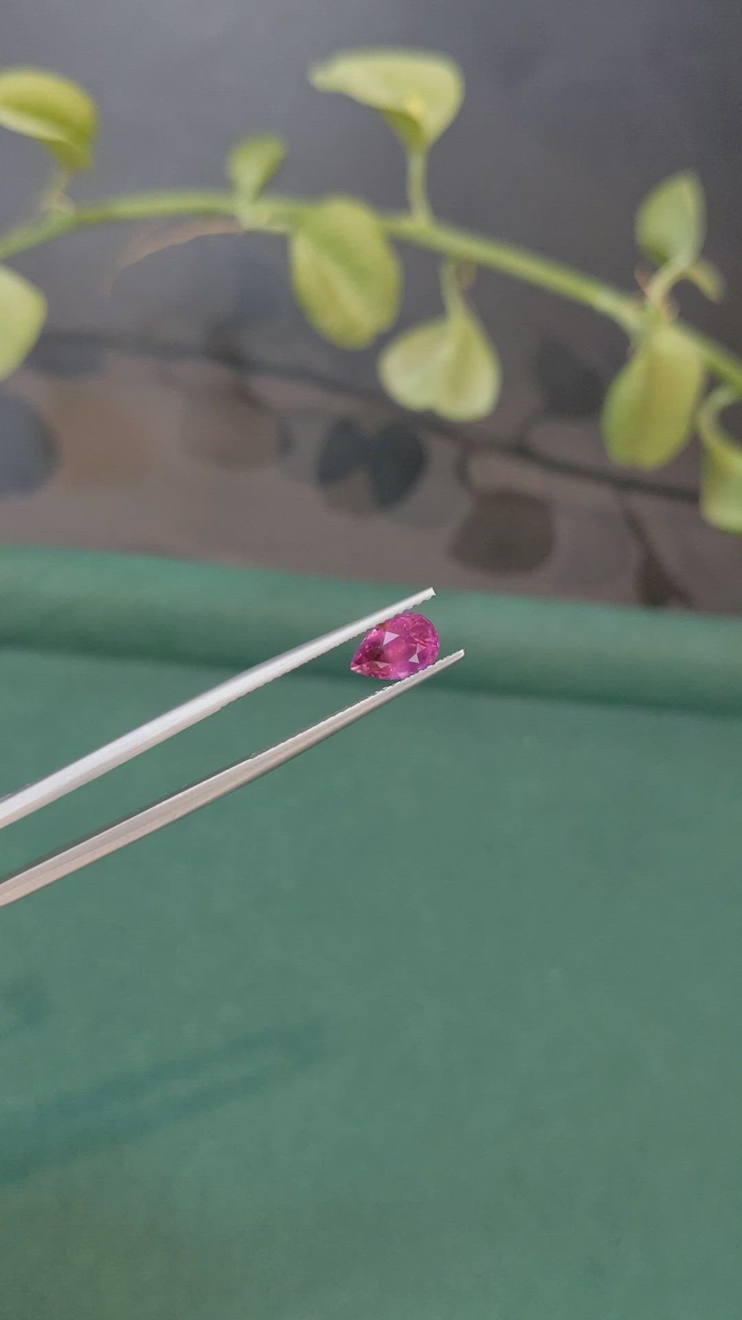 1.38 Ct. Purplish Pink Sapphire from Ceylon (Sri Lanka) Size Video