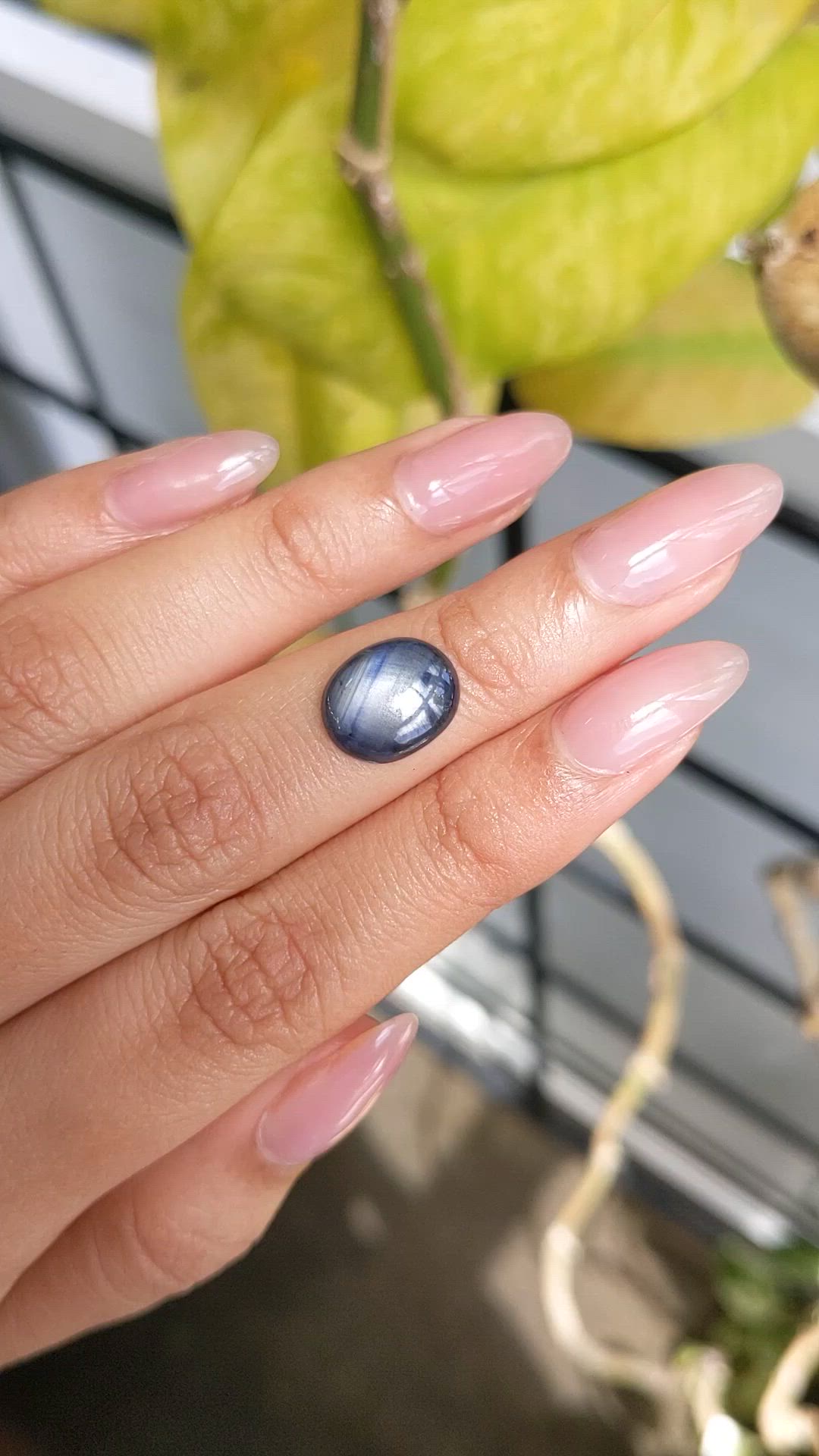 3.65 Ct. Greyish Blue Star Sapphire from Ceylon (Sri Lanka) Size Video