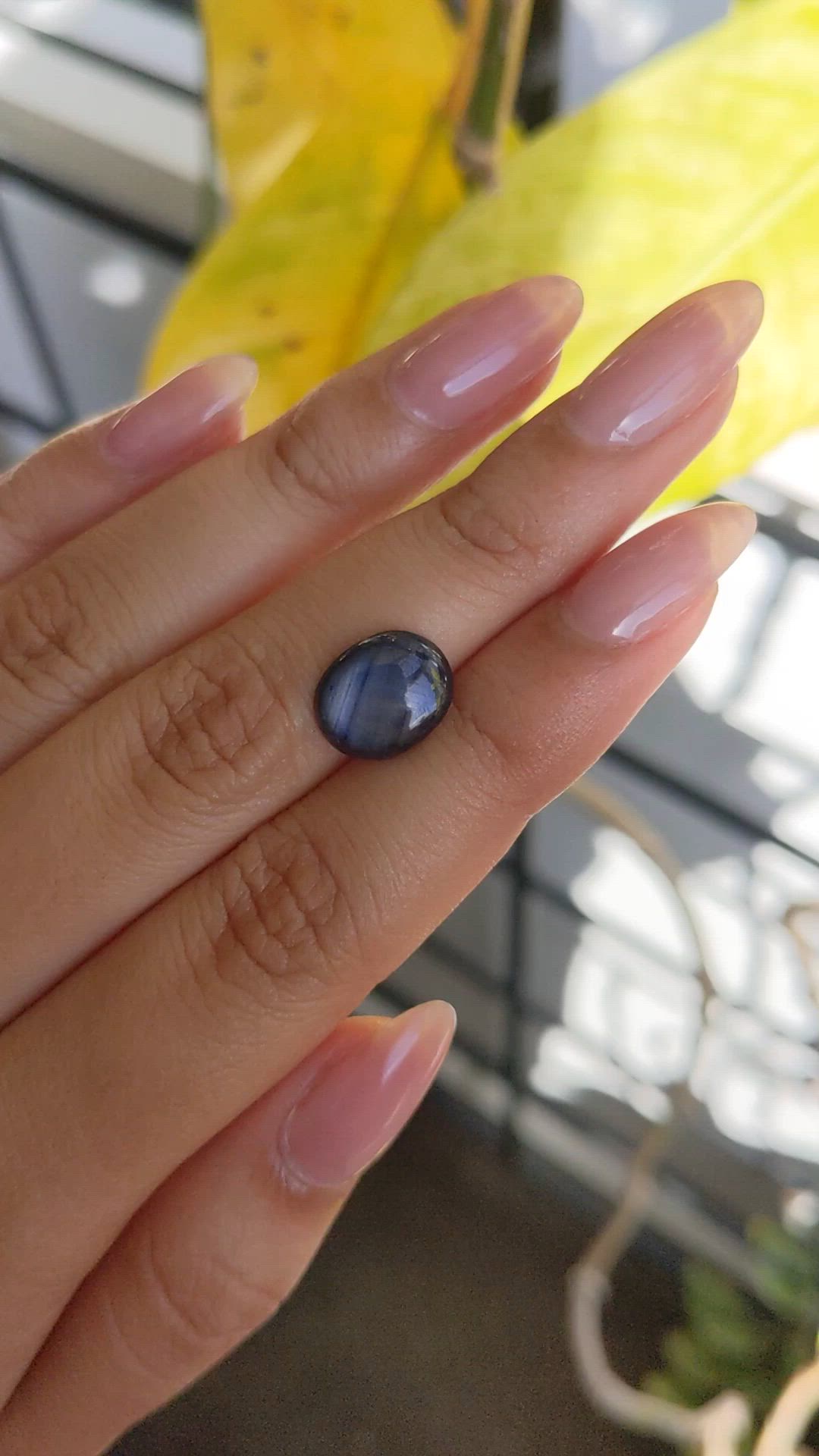 3.65 Ct. Greyish Blue Star Sapphire from Ceylon (Sri Lanka) Size Video