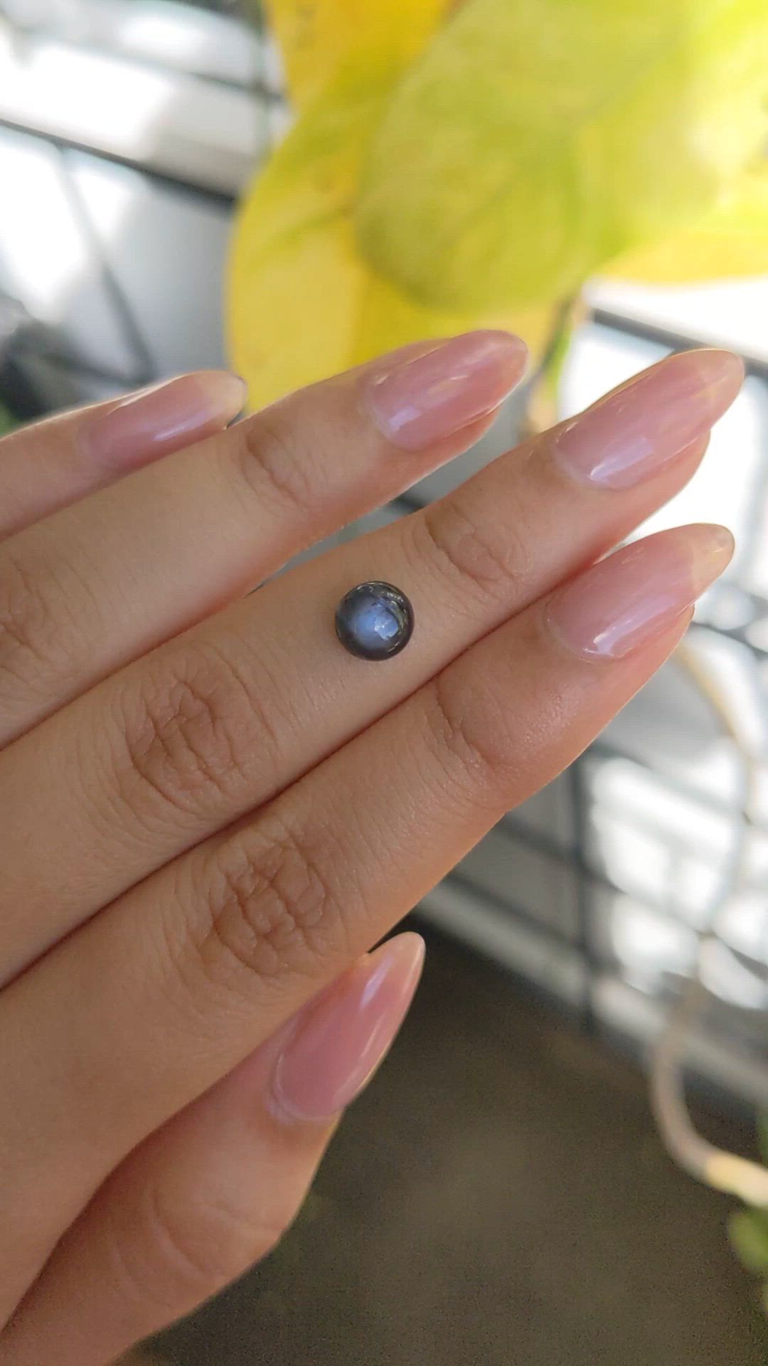1.58 Ct. Greyish Blue Star Sapphire from Ceylon (Sri Lanka) Size Video