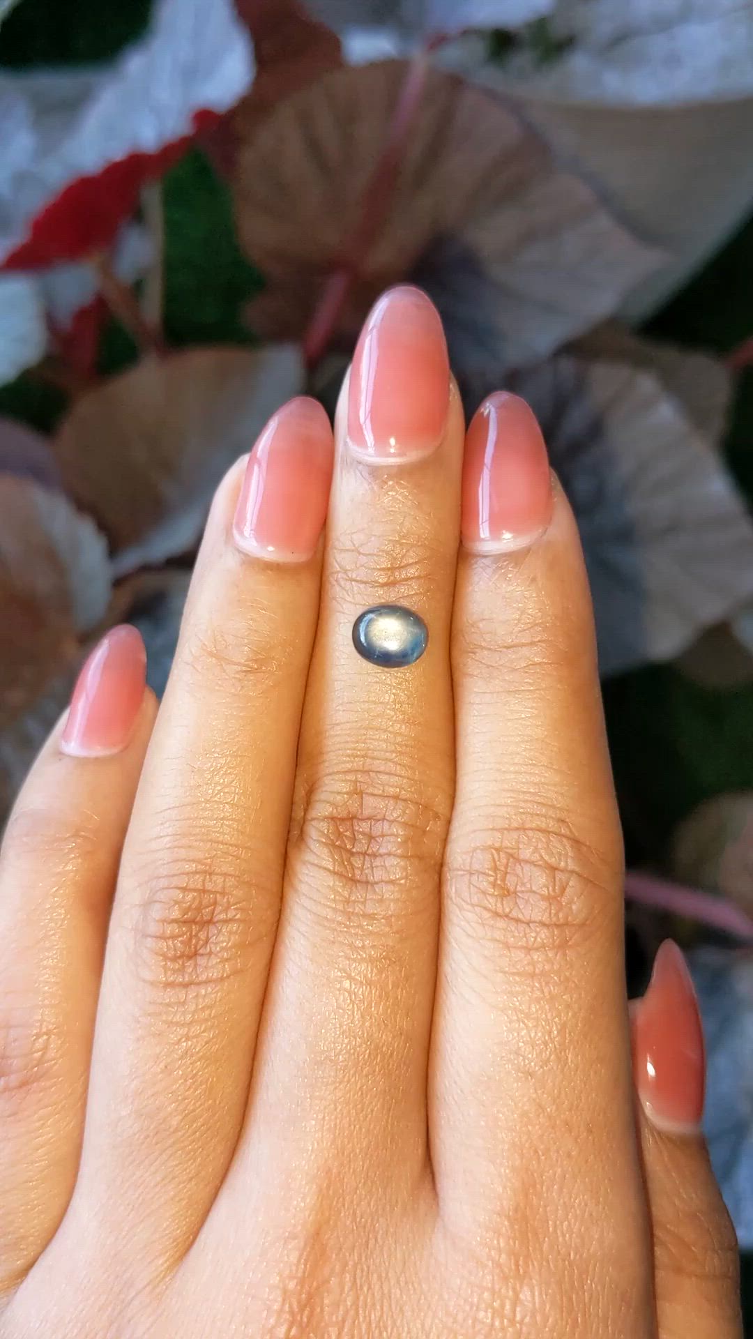 1.54 Ct. Greyish Blue Star Sapphire from Ceylon (Sri Lanka) Size Video