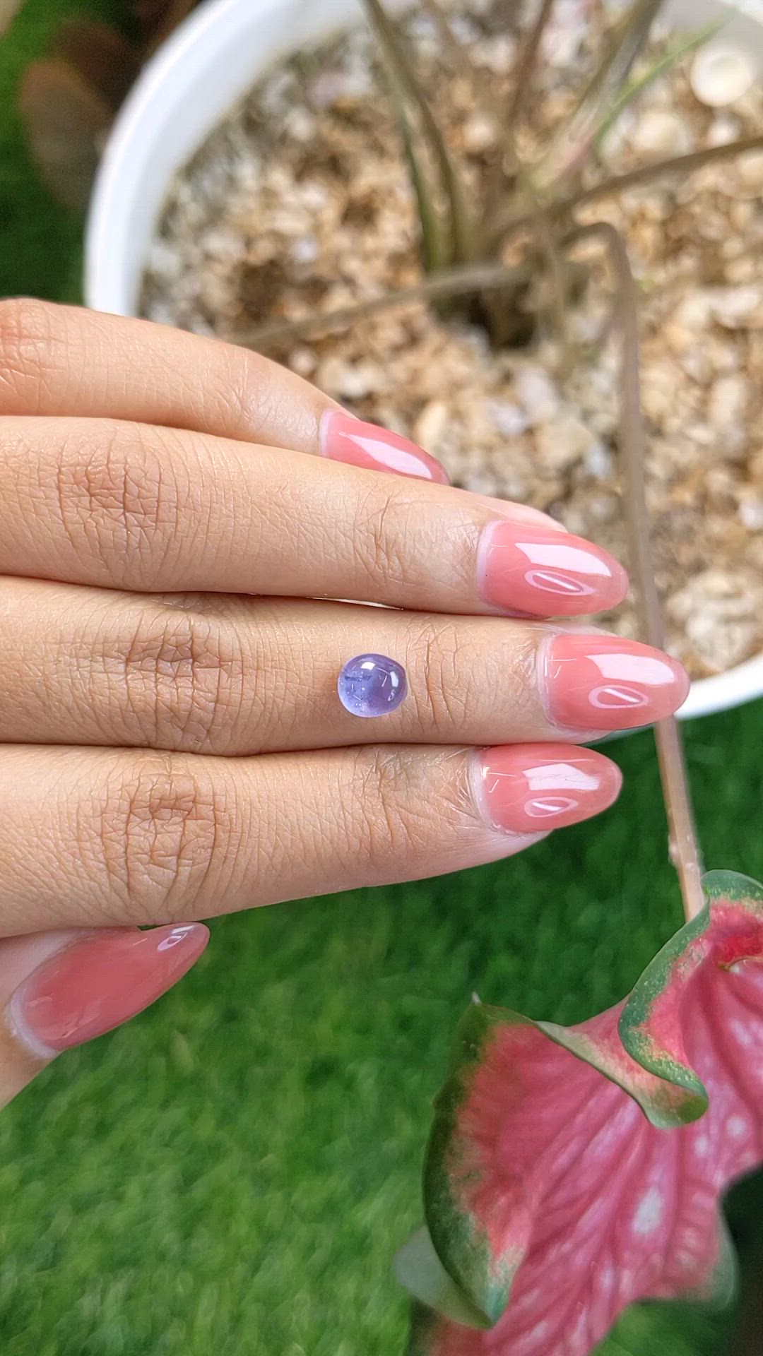 2.03 Ct. Purple Star Sapphire from Ceylon (Sri Lanka) Size Video
