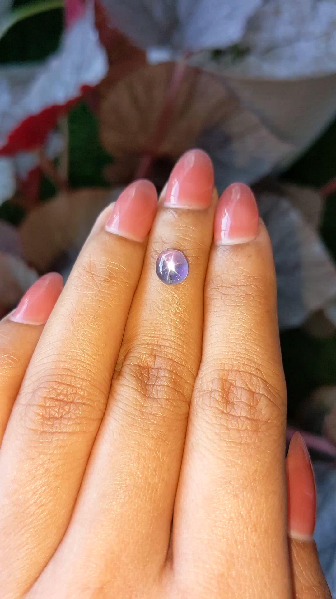 2.03 Ct. Purple Star Sapphire from Ceylon (Sri Lanka) Size Video