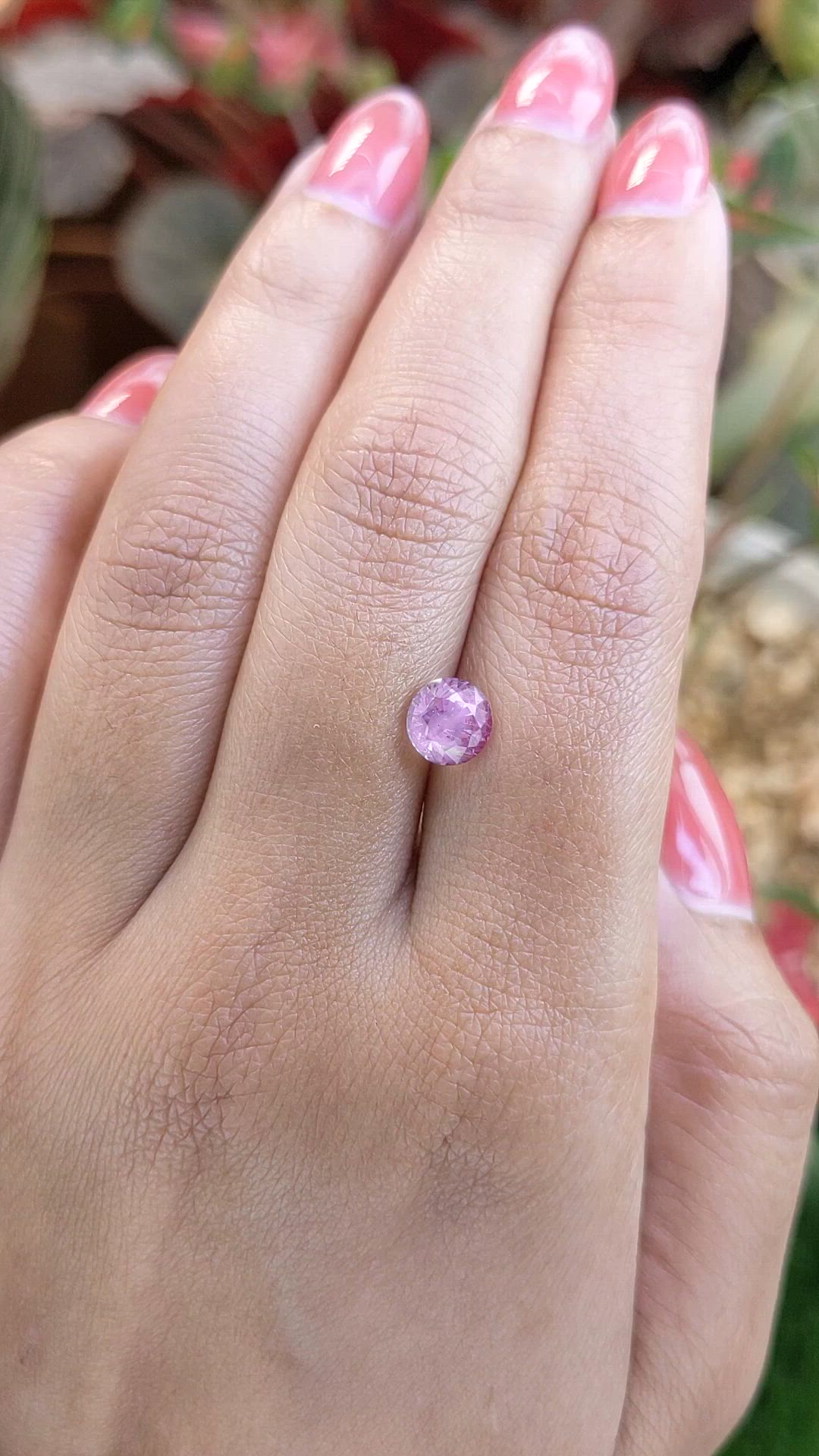 2.02 Ct. Pink Sapphire from Ceylon (Sri Lanka) Size Video
