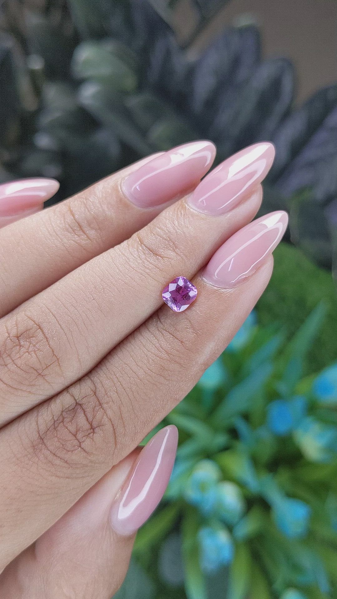 0.79 Ct. Purplish Pink Sapphire from Africa Size Video