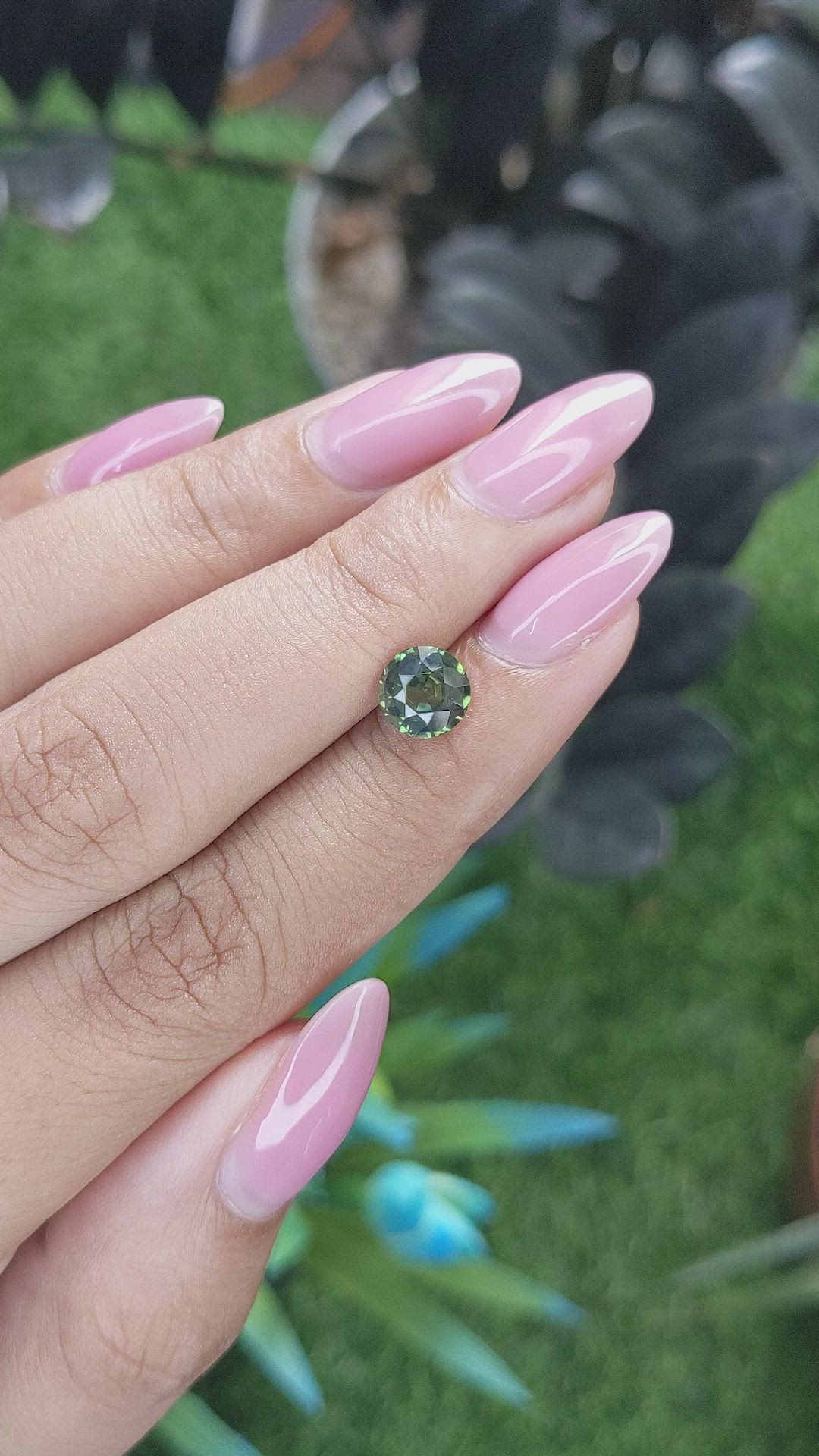 1.55 Ct. Yellowish Green Sapphire from Australia Size Video