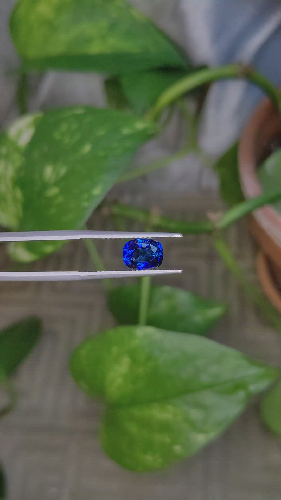 2.07 Ct. Blue Sapphire from Ceylon (Sri Lanka) Size Video