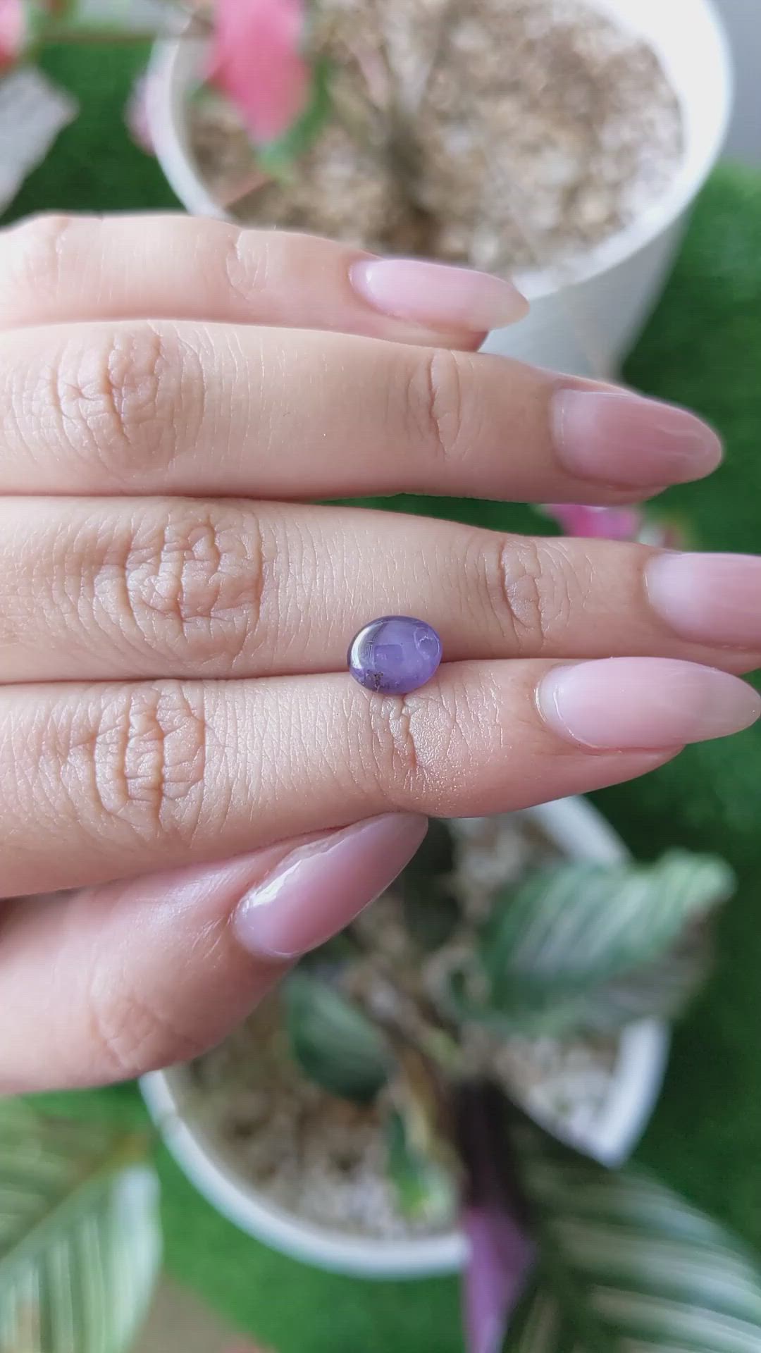 2.41 Ct. Purple Star Sapphire from Ceylon (Sri Lanka) Size Video