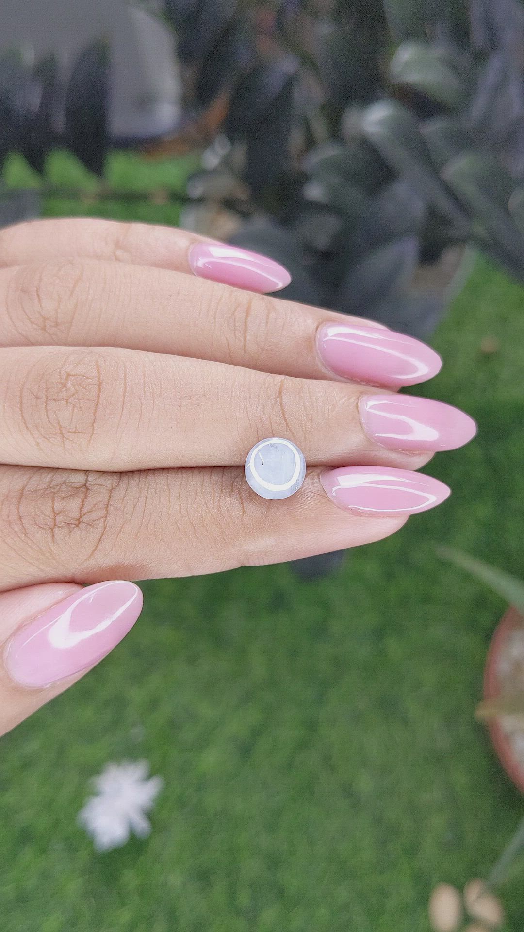 2.96 Ct. Grey Star Sapphire from Ceylon (Sri Lanka) Size Video