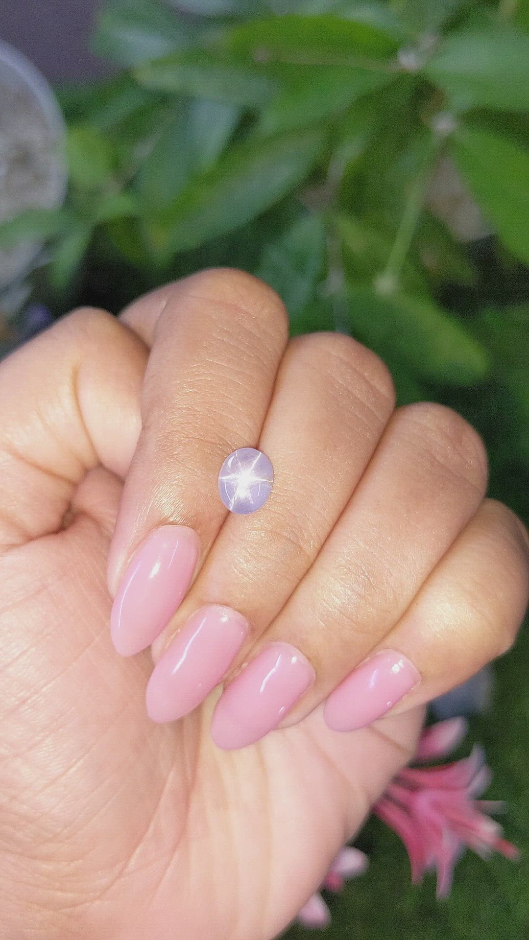 2.42 Ct. Purple Star Sapphire from Ceylon (Sri Lanka) Size Video