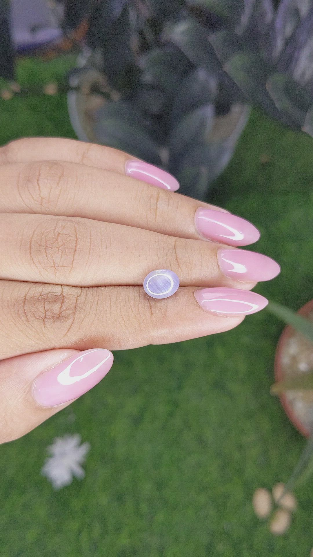 2.42 Ct. Purple Star Sapphire from Ceylon (Sri Lanka) Size Video
