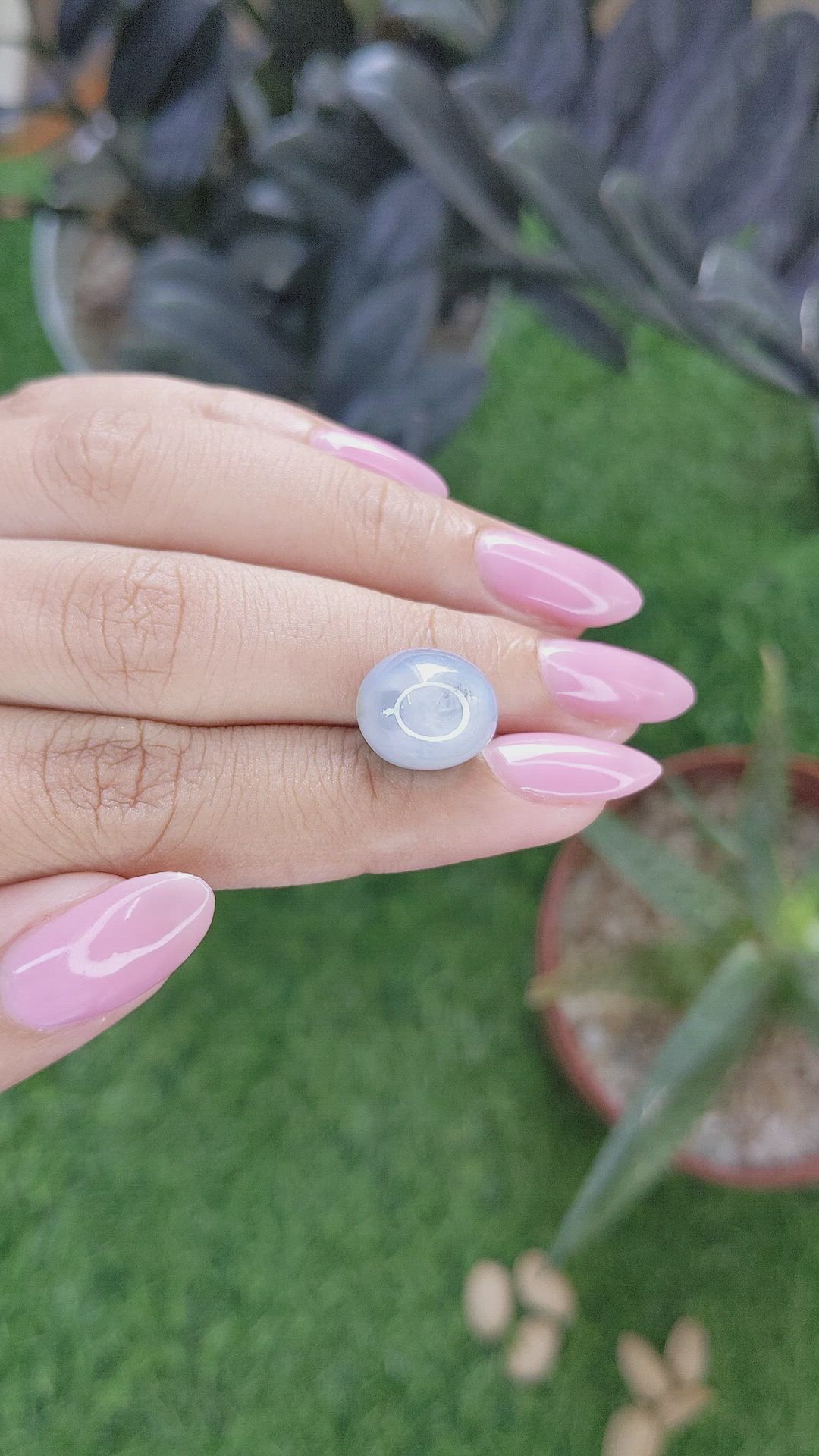 14.50 Ct. Grey Star Sapphire from Ceylon (Sri Lanka) Size Video