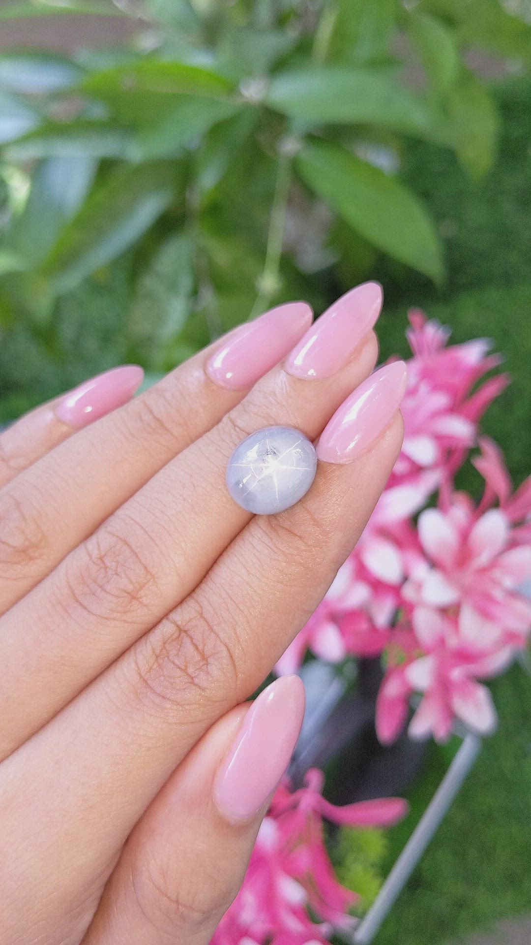 14.50 Ct. Grey Star Sapphire from Ceylon (Sri Lanka) Size Video