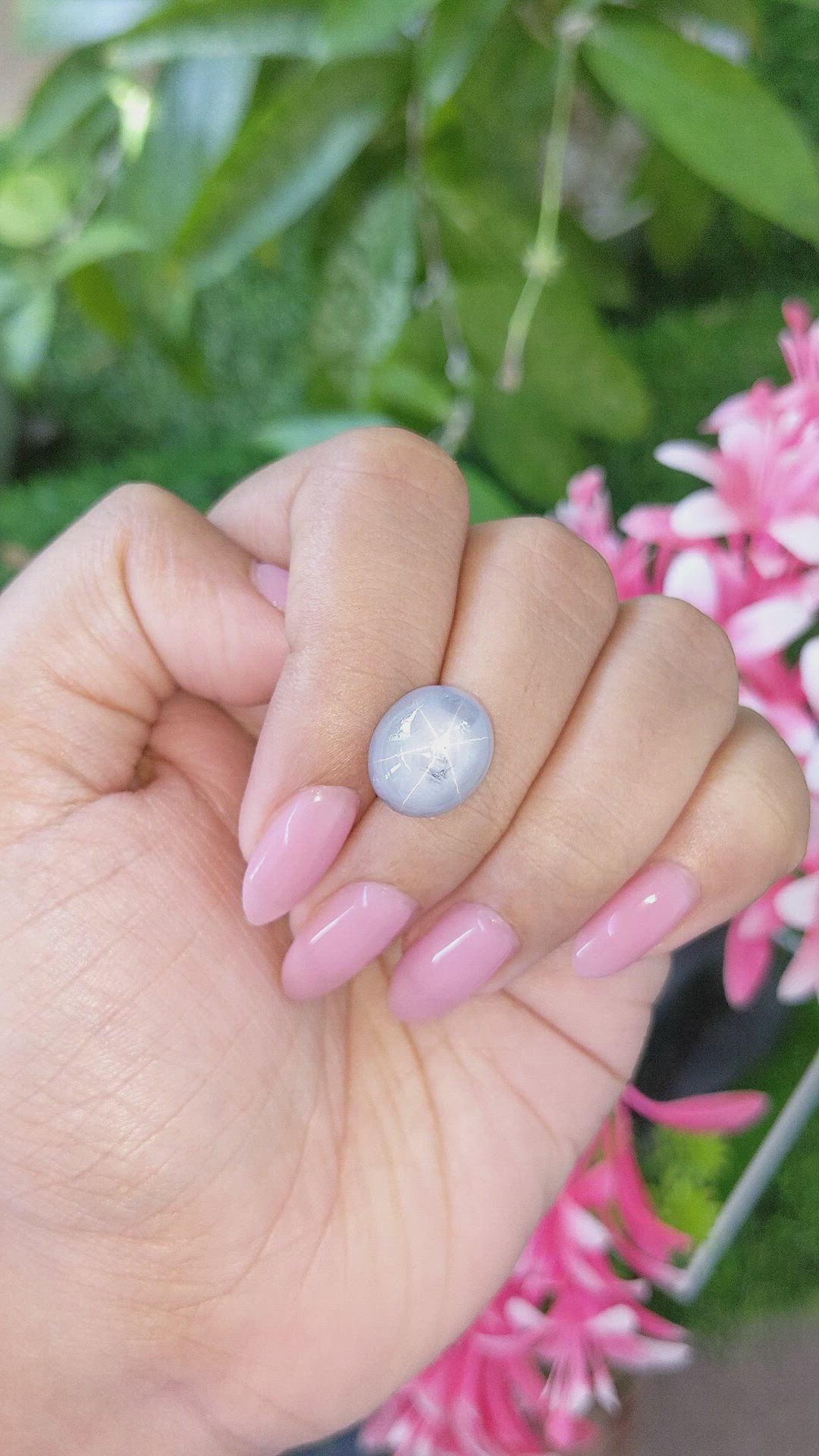 14.50 Ct. Grey Star Sapphire from Ceylon (Sri Lanka) Size Video