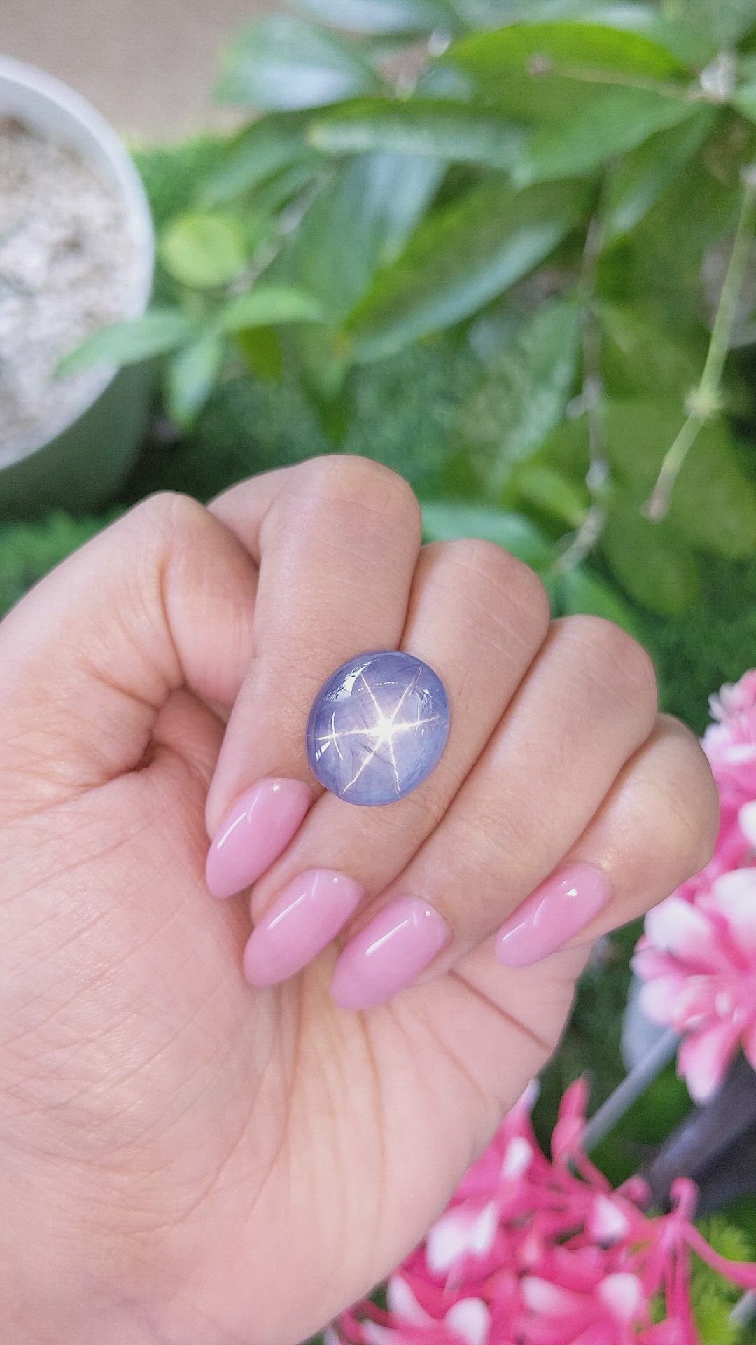 25.90 Ct. Purplish Blue Star Sapphire from Ceylon (Sri Lanka) Size Video