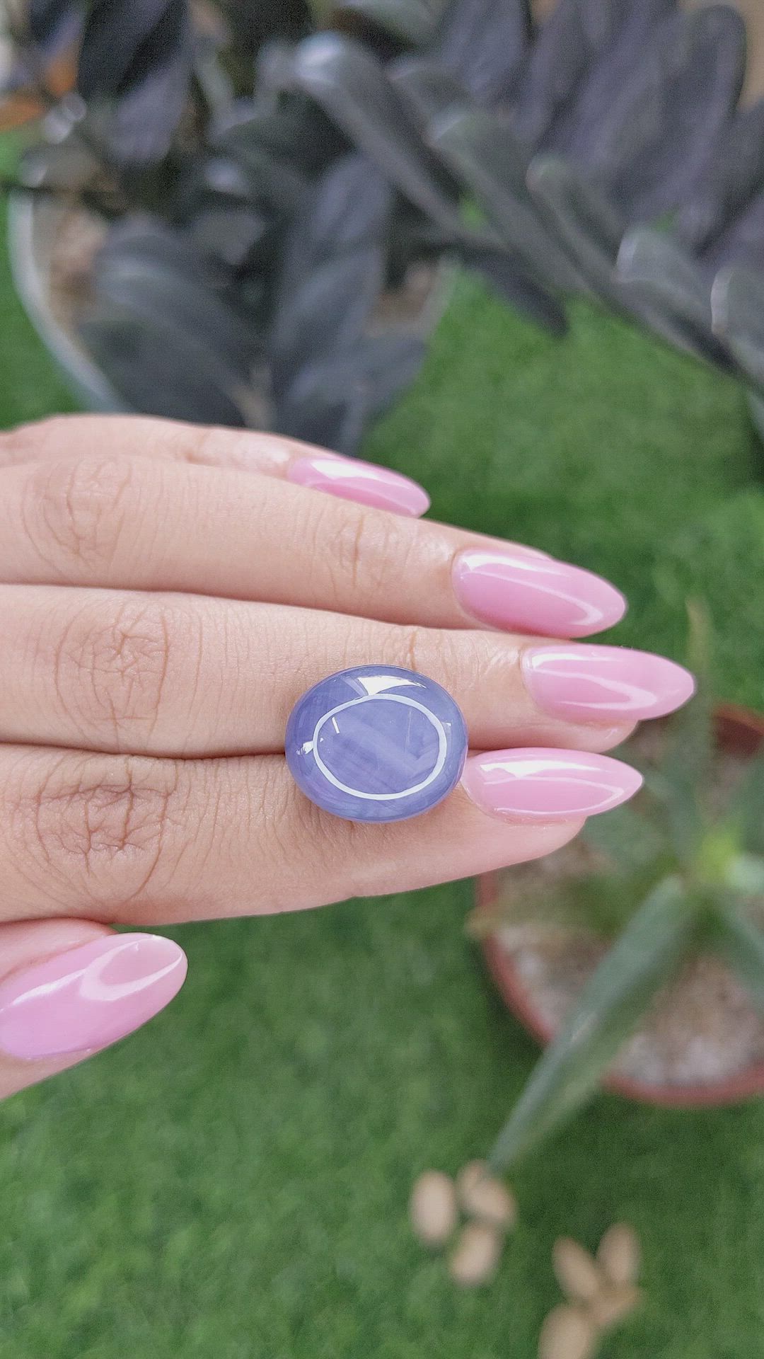 25.90 Ct. Purplish Blue Star Sapphire from Ceylon (Sri Lanka) Size Video