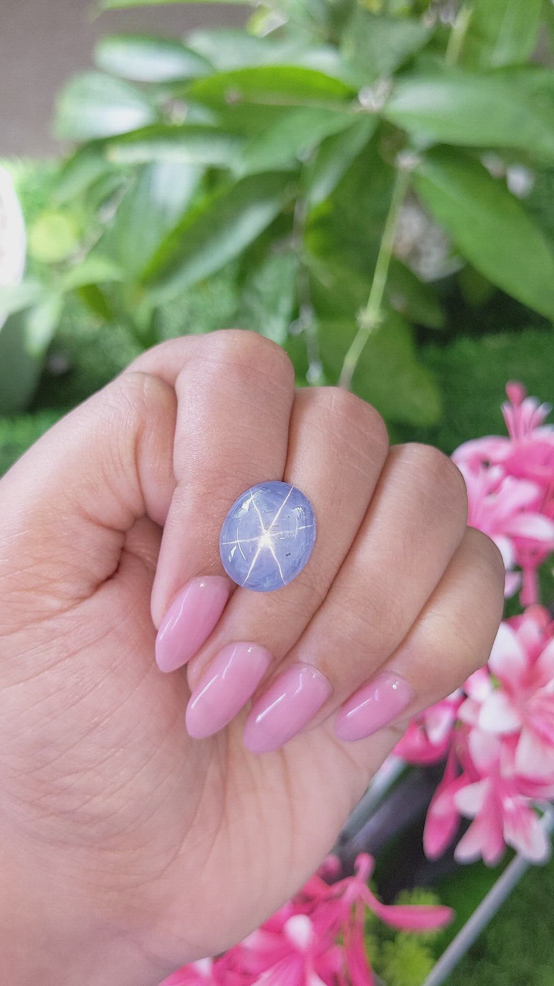 19.45 Ct. Blue Star Sapphire from Ceylon (Sri Lanka) Size Video