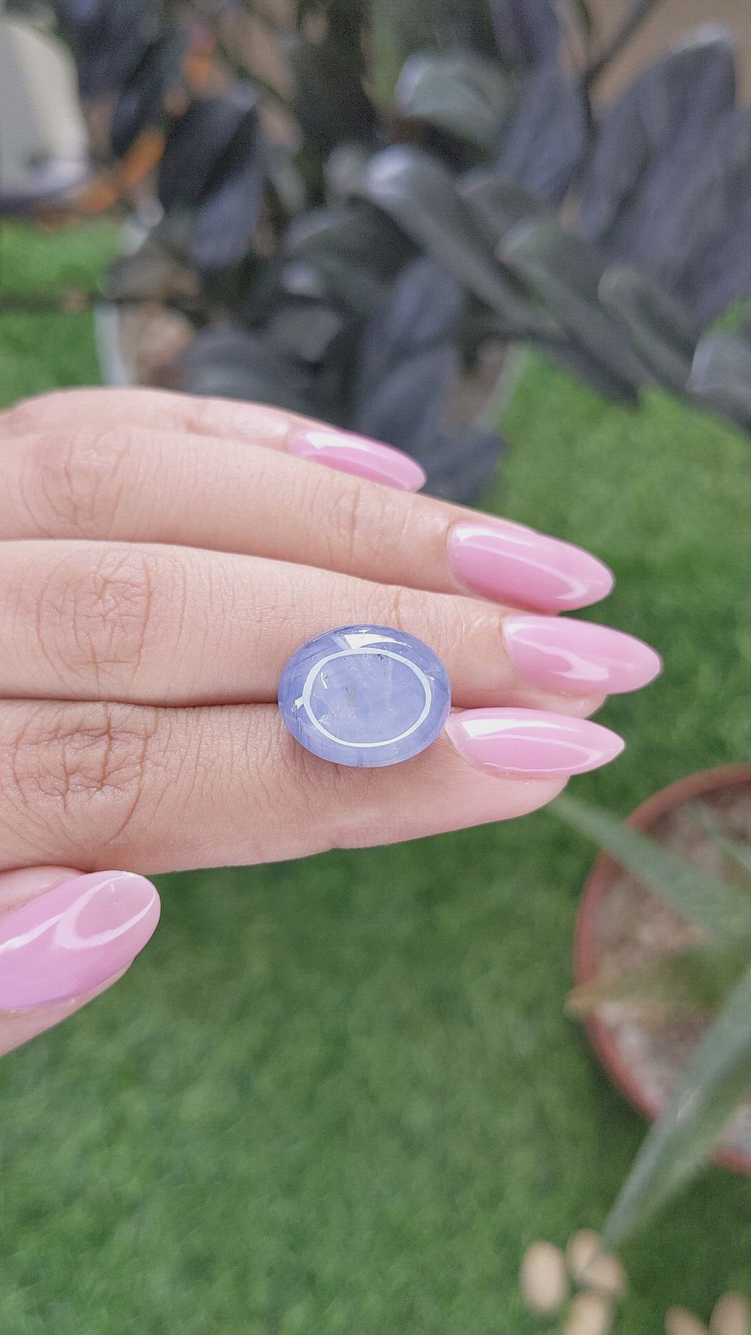 19.45 Ct. Blue Star Sapphire from Ceylon (Sri Lanka) Size Video