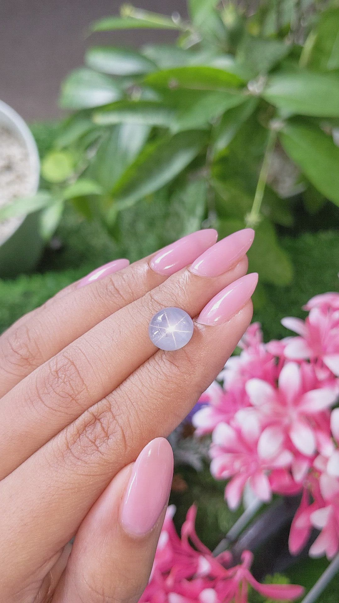 6.85 Ct. Bluish Grey Star Sapphire from Ceylon (Sri Lanka) Size Video