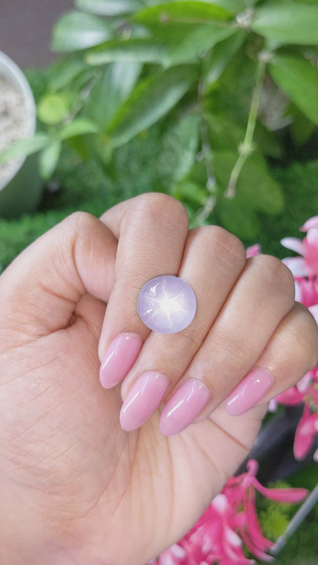 22.91 Ct. Violet Star Sapphire from Ceylon (Sri Lanka) Size Video