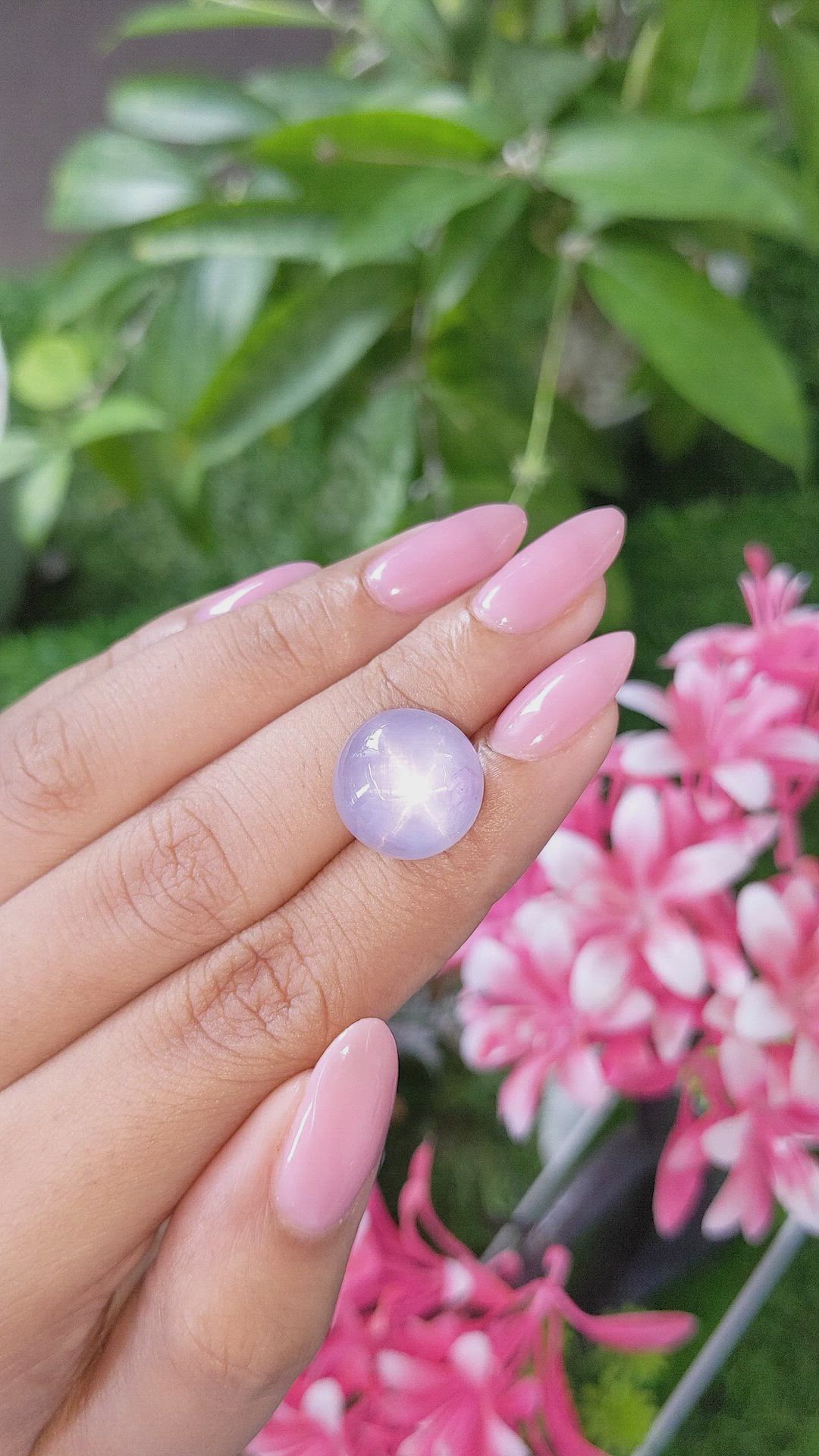 22.91 Ct. Violet Star Sapphire from Ceylon (Sri Lanka) Size Video