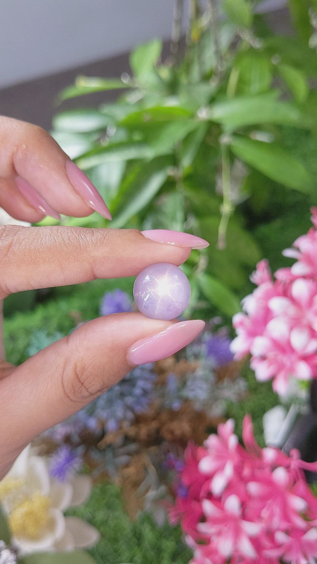 22.91 Ct. Violet Star Sapphire from Ceylon (Sri Lanka) Size Video