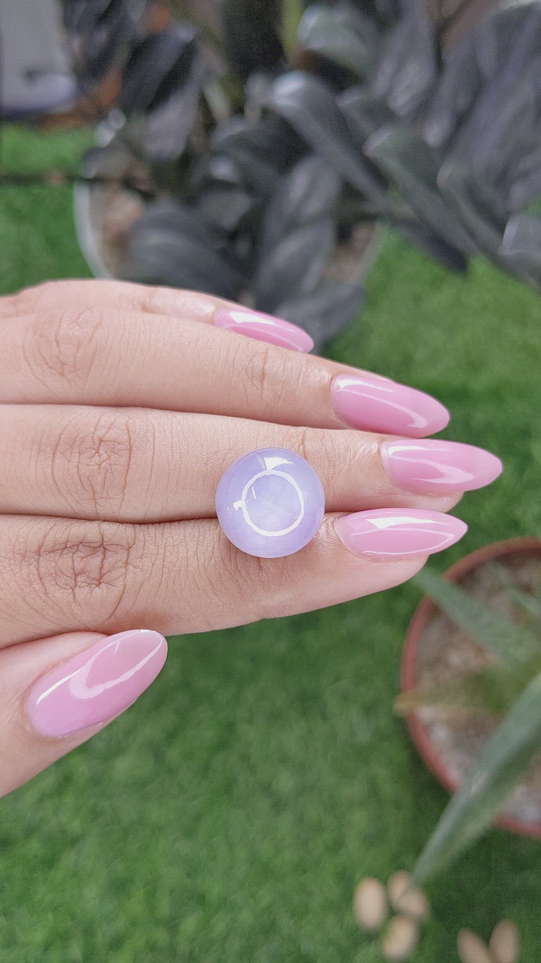 22.91 Ct. Violet Star Sapphire from Ceylon (Sri Lanka) Size Video