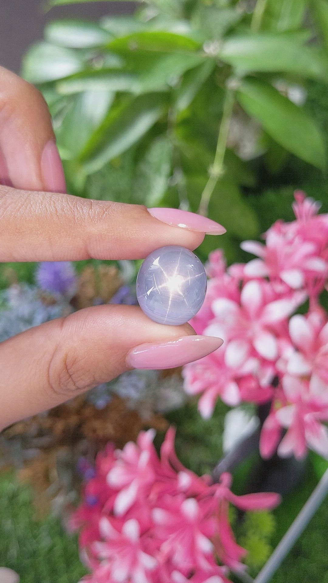 27.04 Ct. Blue Star Sapphire from Ceylon (Sri Lanka) Size Video