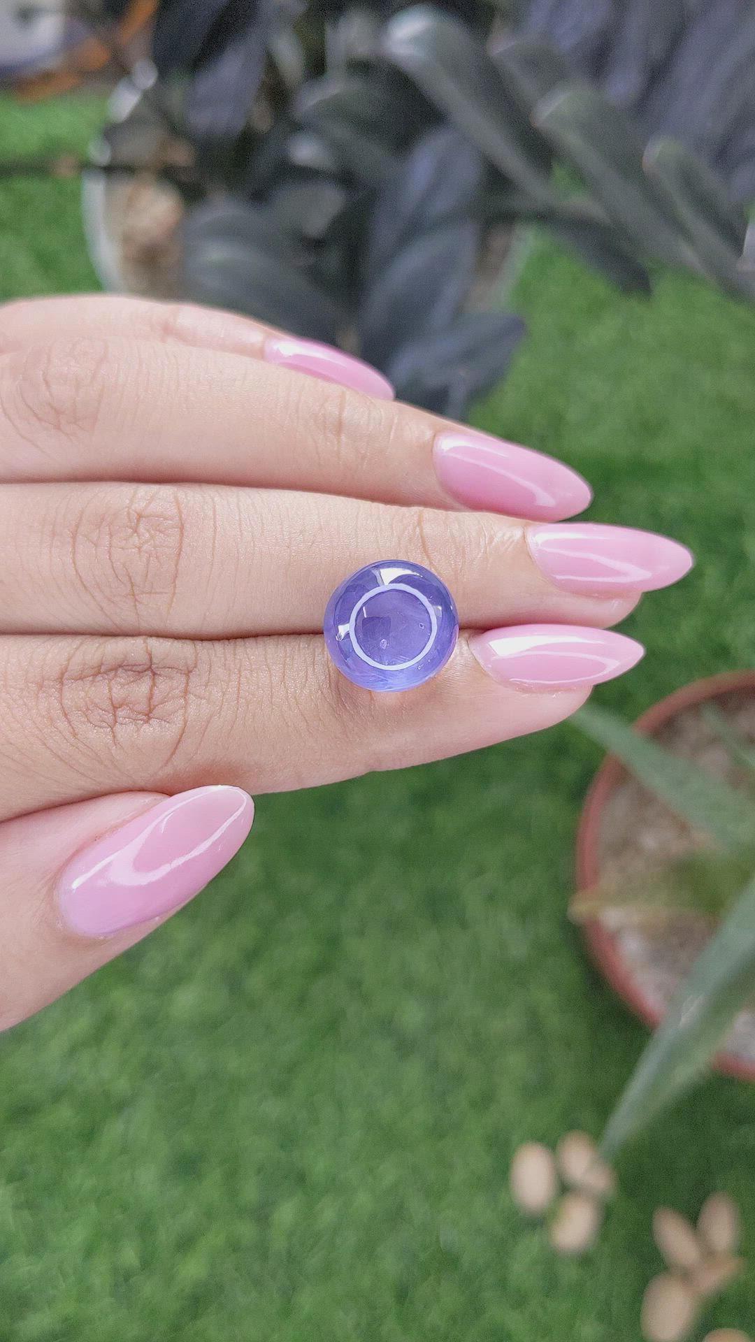 16.54 Ct. Purplish Blue Star Sapphire from Ceylon (Sri Lanka) Size Video