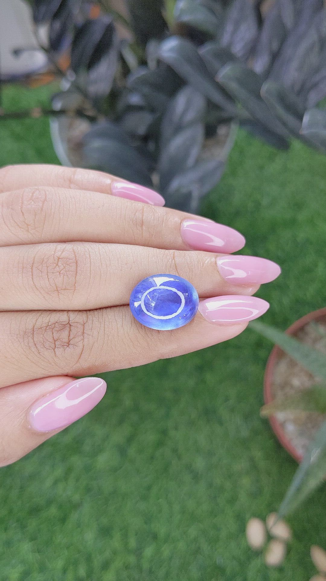 16.00 Ct. Blue Star Sapphire from Ceylon (Sri Lanka) Size Video