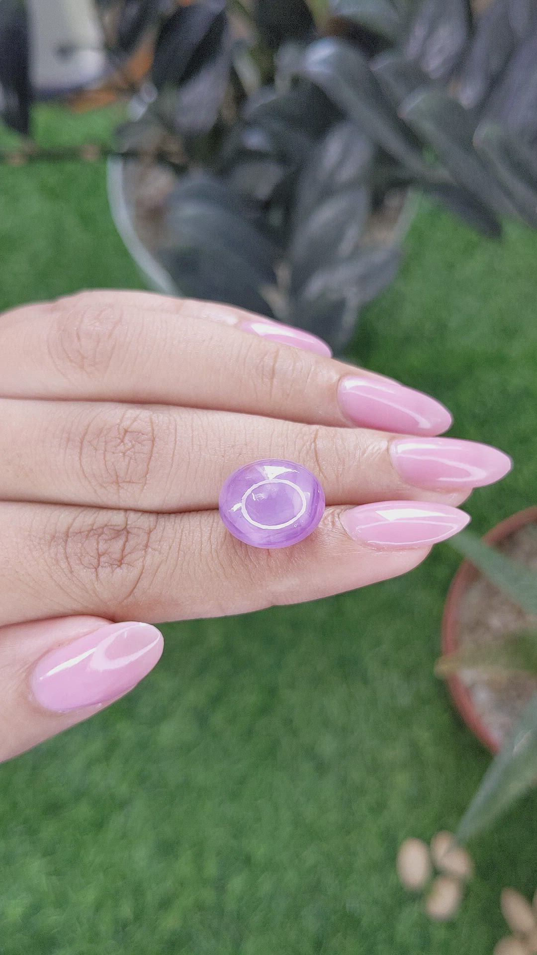 20.12 Ct. Pink Star Sapphire from Ceylon (Sri Lanka) Size Video