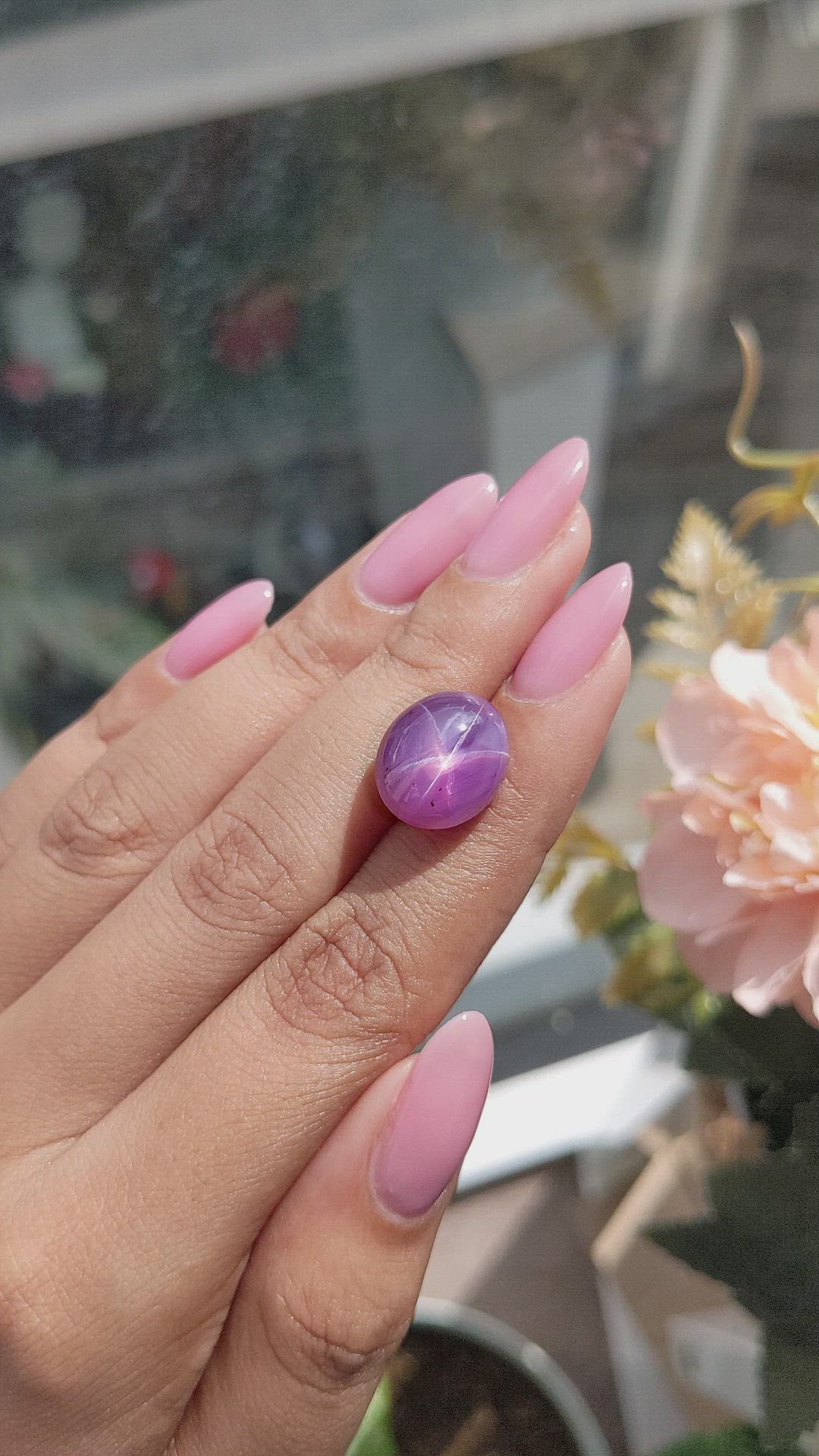 17.52 Ct. Pinkish Purple Star Sapphire from Ceylon (Sri Lanka) Size Video